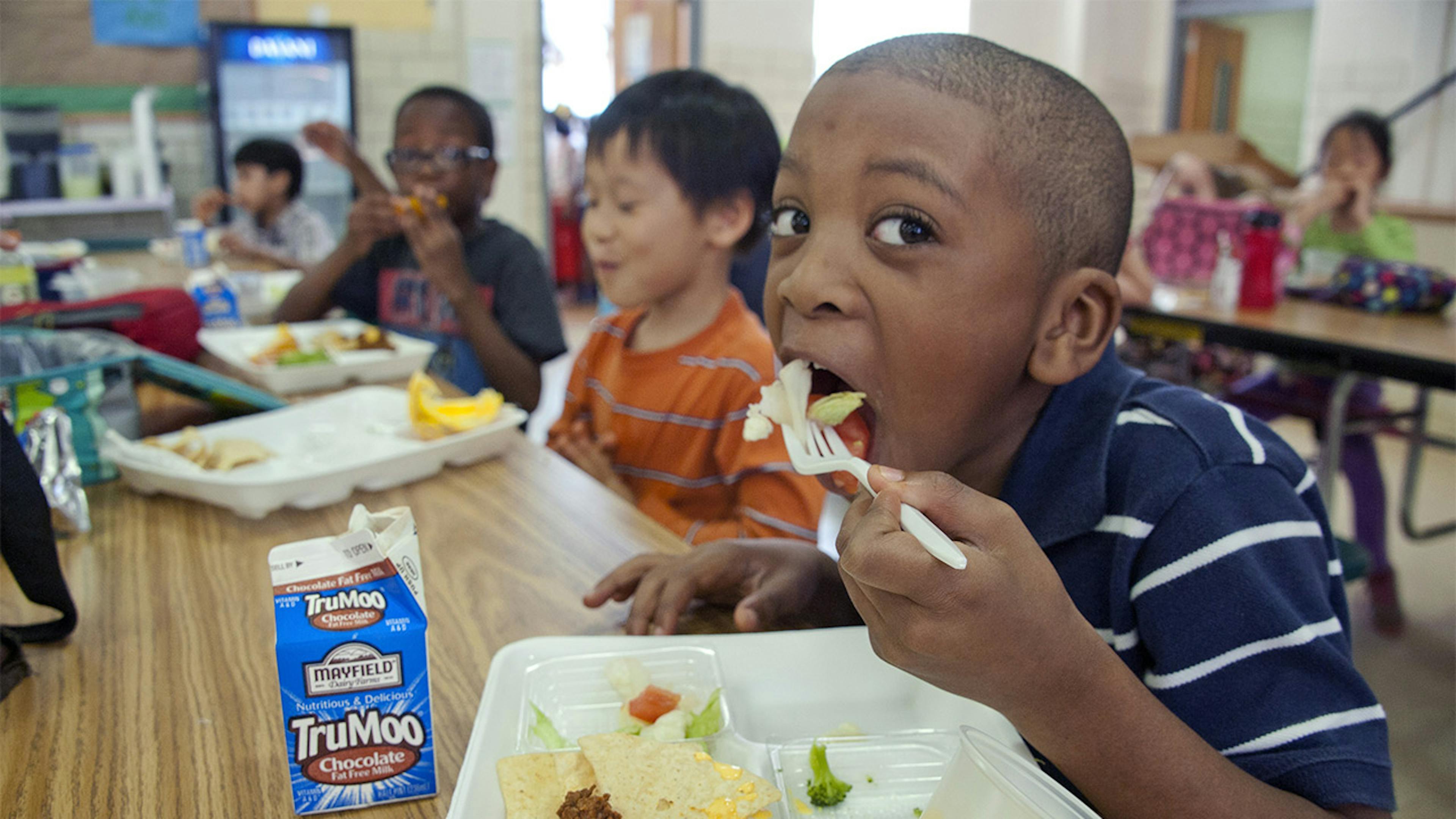 Why Healthy School Lunches are Critical for Students’ Success