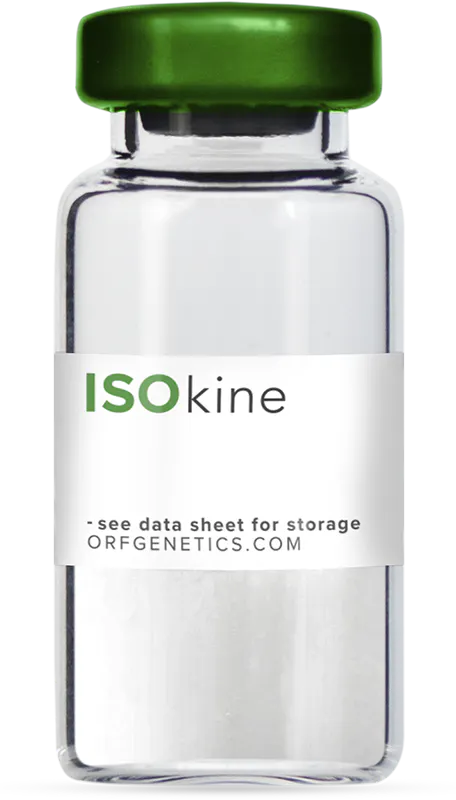 igf 1 lr3 como usar LONG® R³ IGF-I