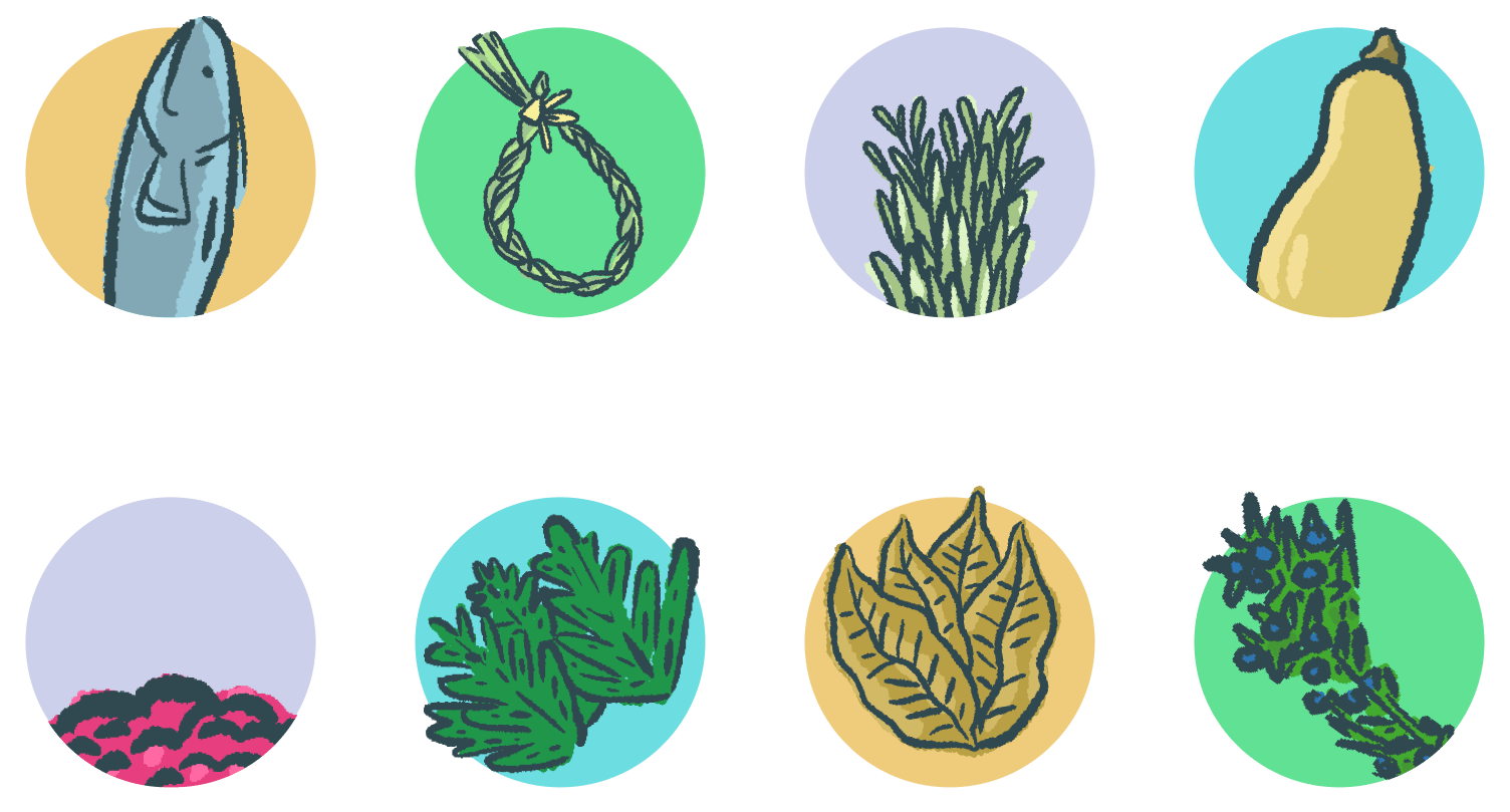 Colourfully illustrated game icons that represent the collectable items throughout the ‘Our Medicine Basket’ experience: fish, sweet grass, sage, squash, berries, cedar, and tobacco.