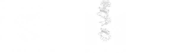 Logos for Malmo Stad & Internationella Engelska Skolan