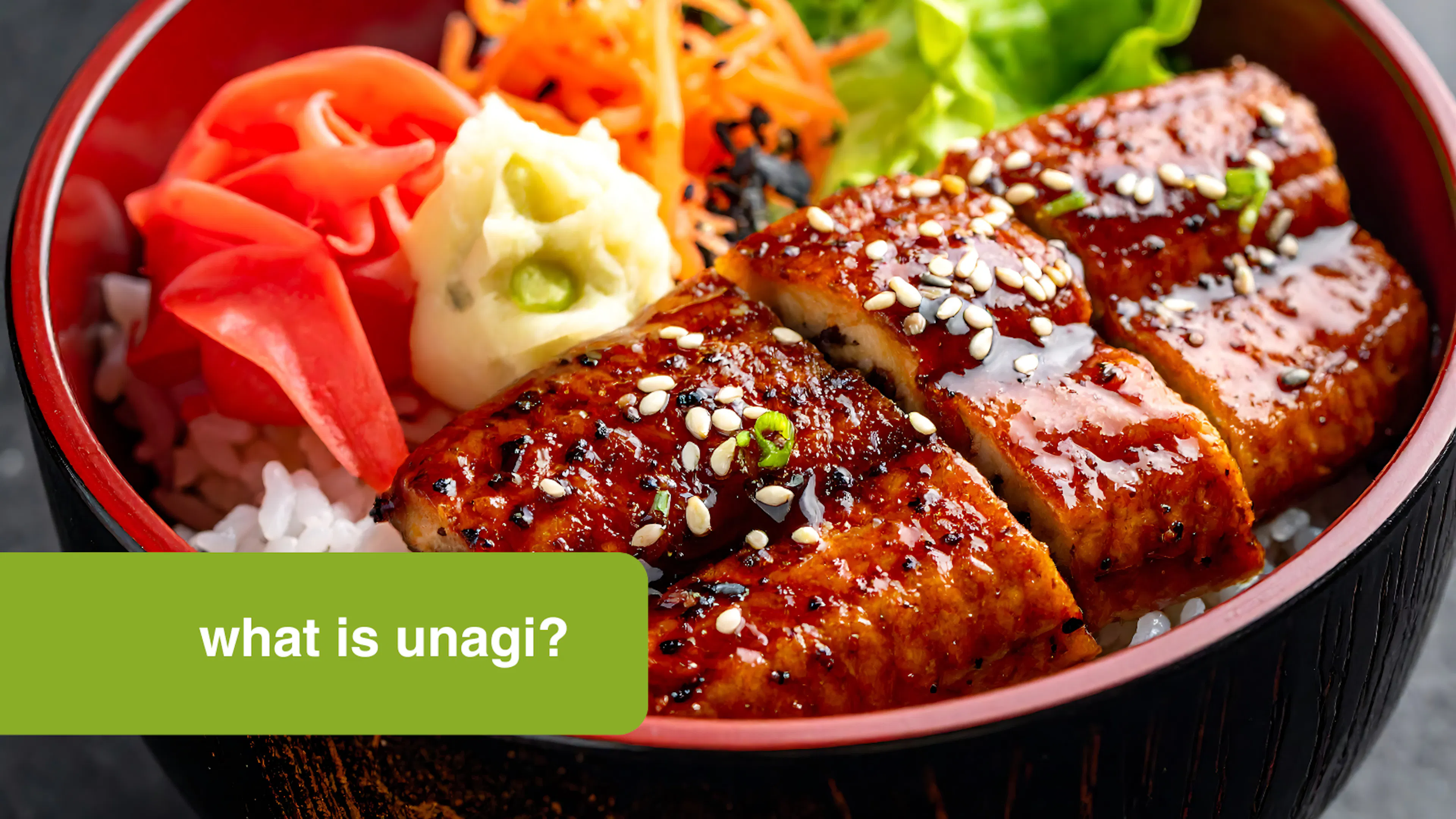 what is unagi
