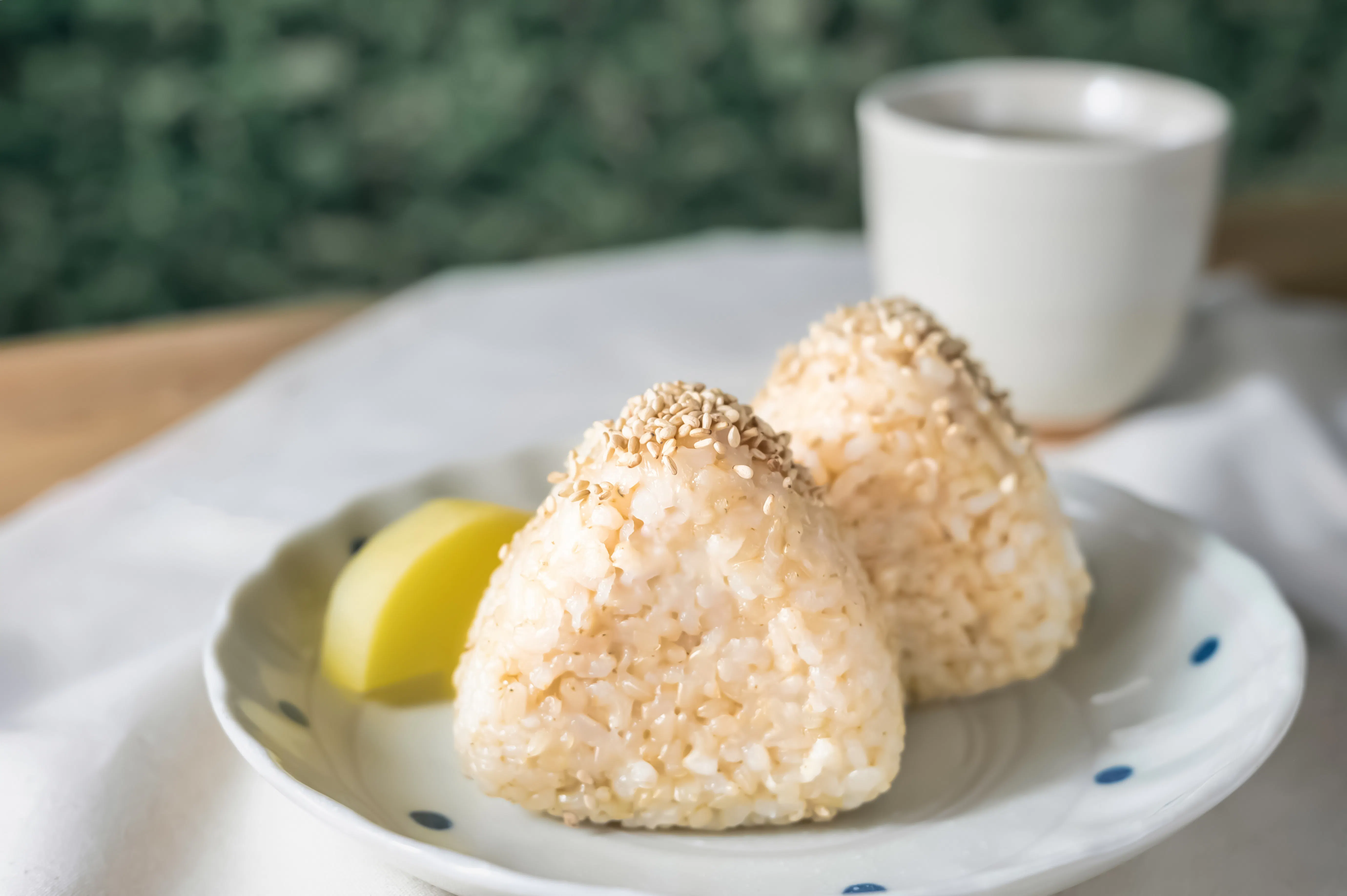 Onigiri rice ball