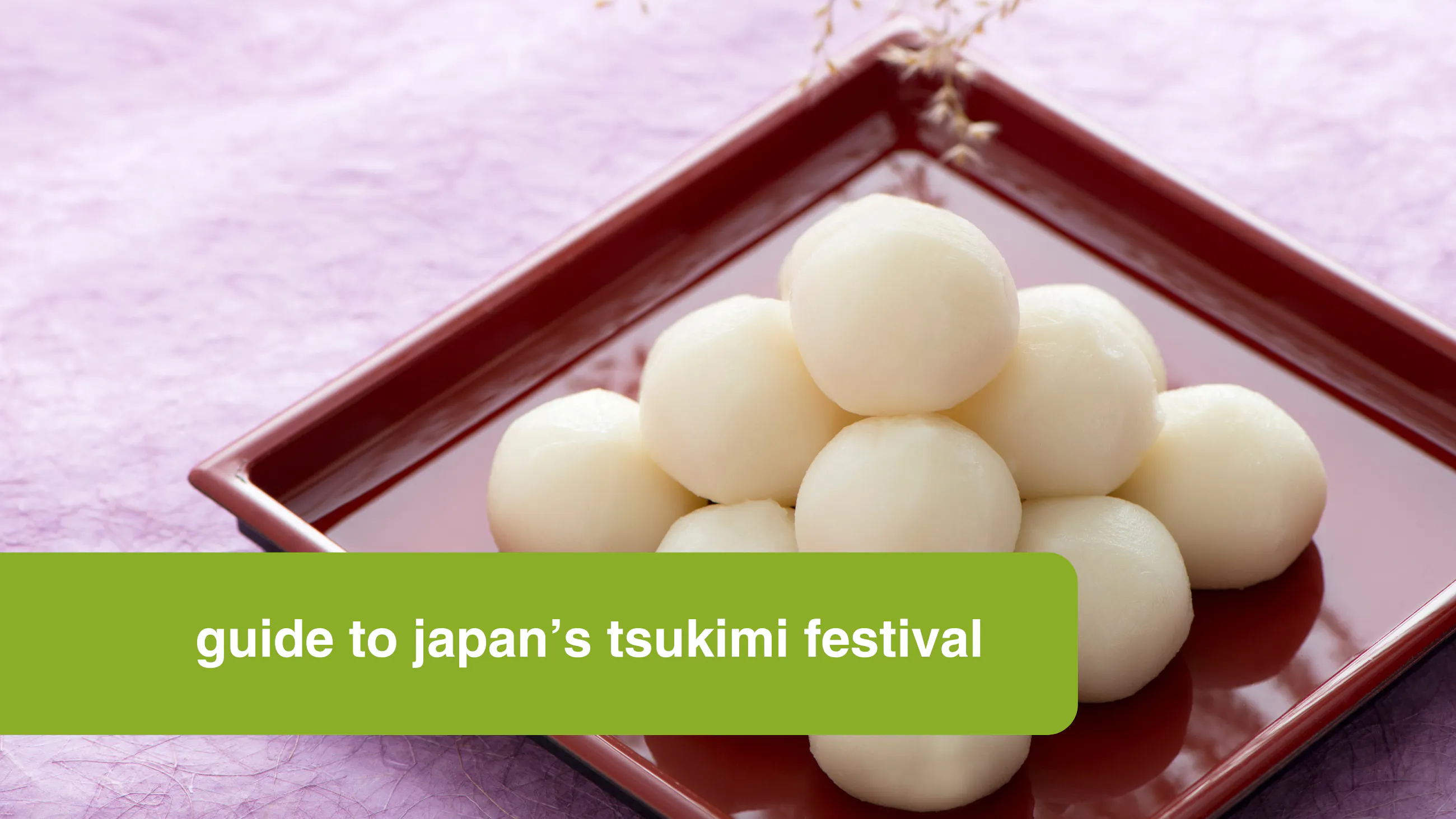 Guide to Japan's Tsukimi Festival