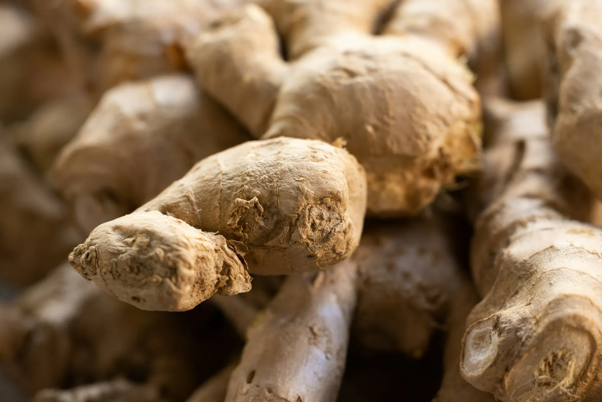 Close up of ginger root