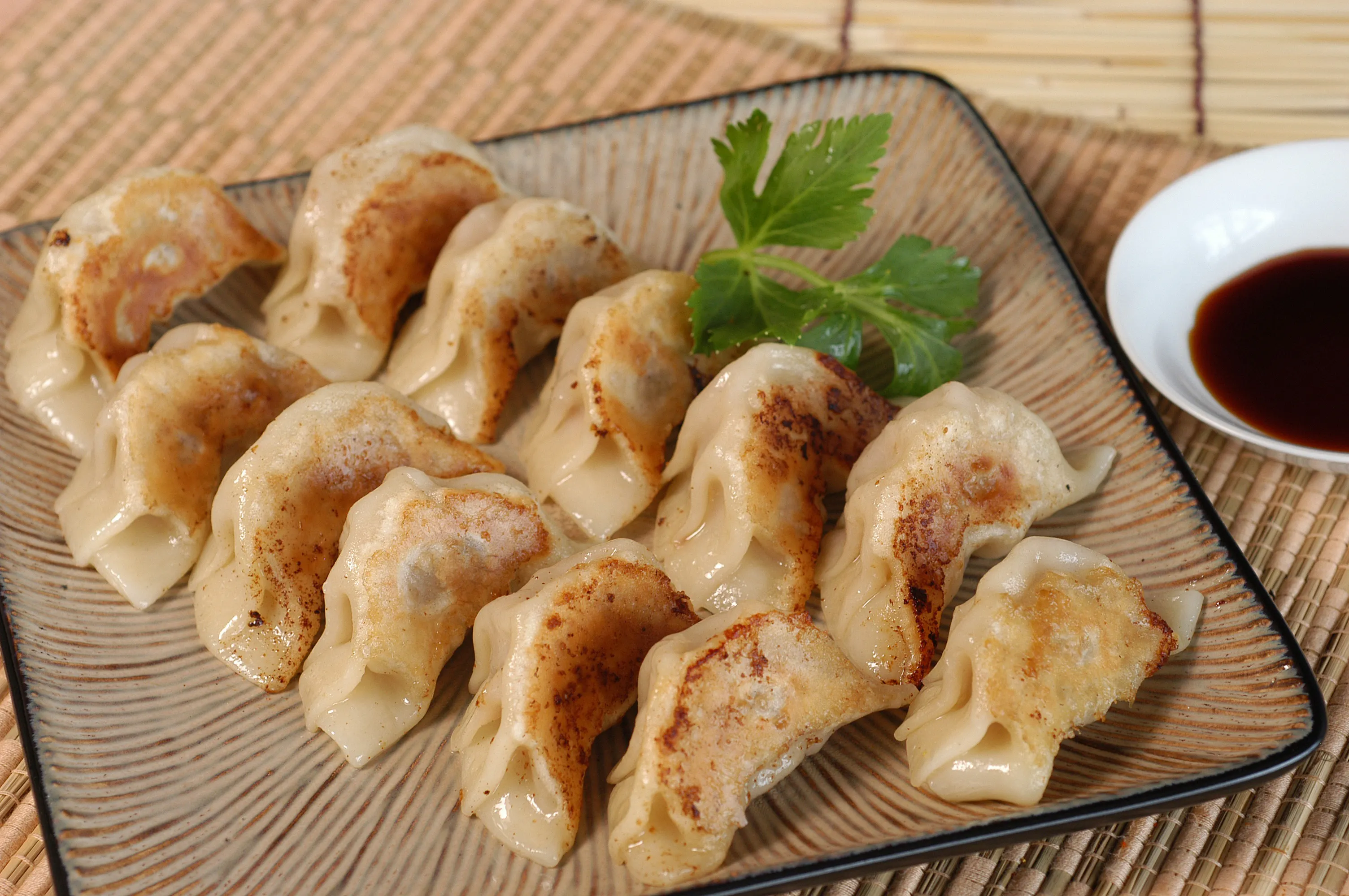 Japanese Gyoza