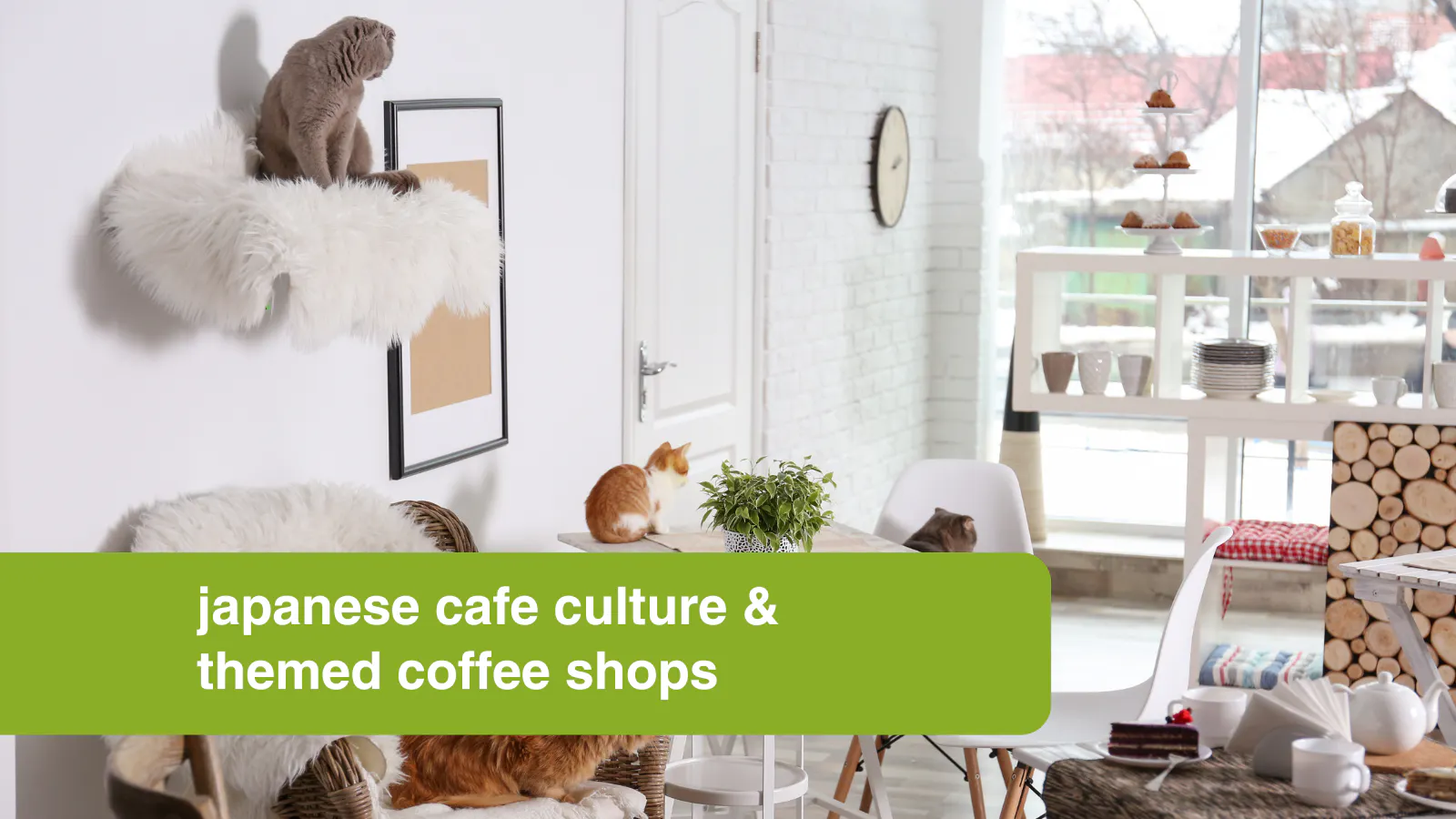 Japanese cafe culture and themed coffee shops