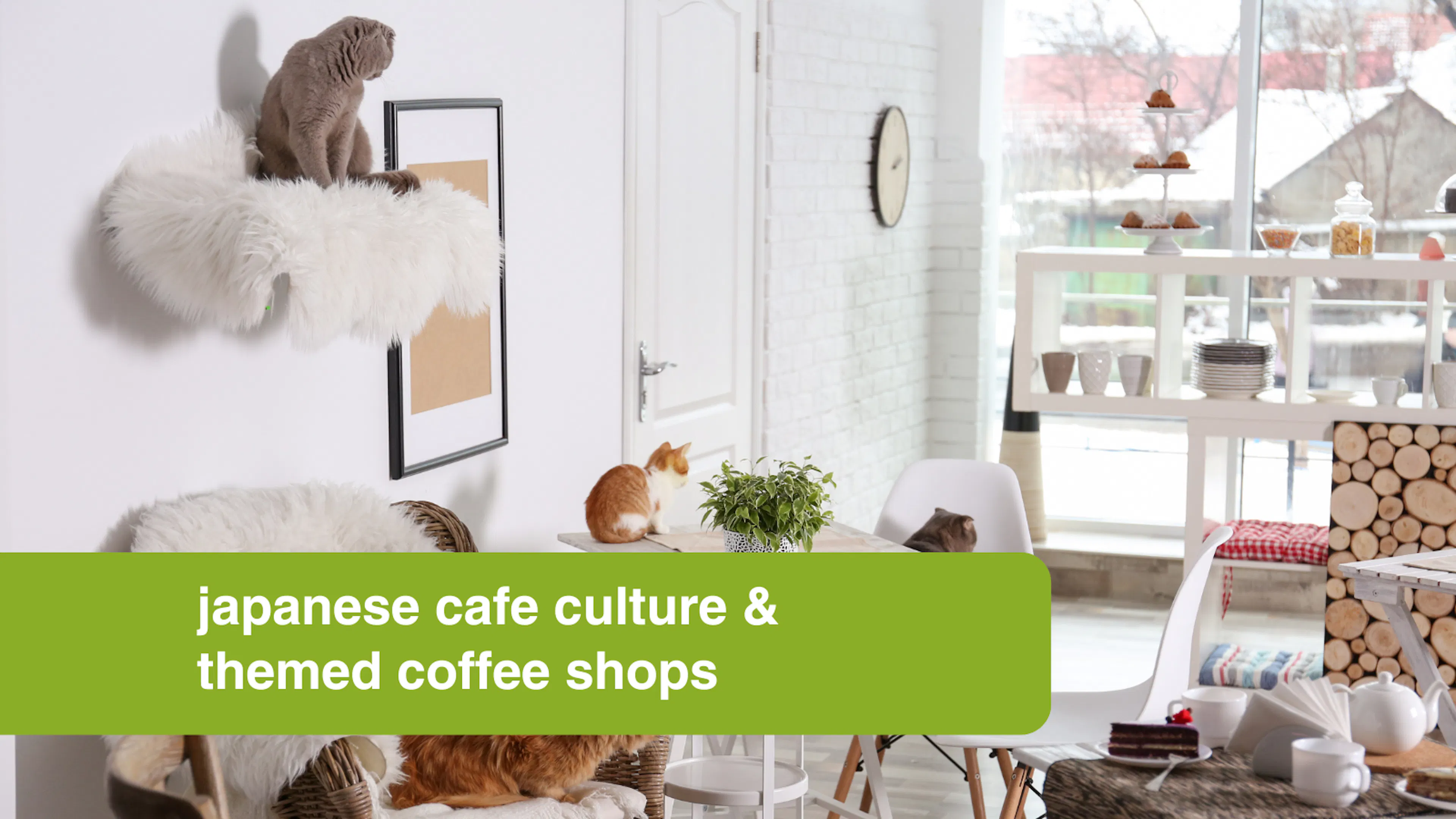 Japanese cafe culture and themed coffee shops