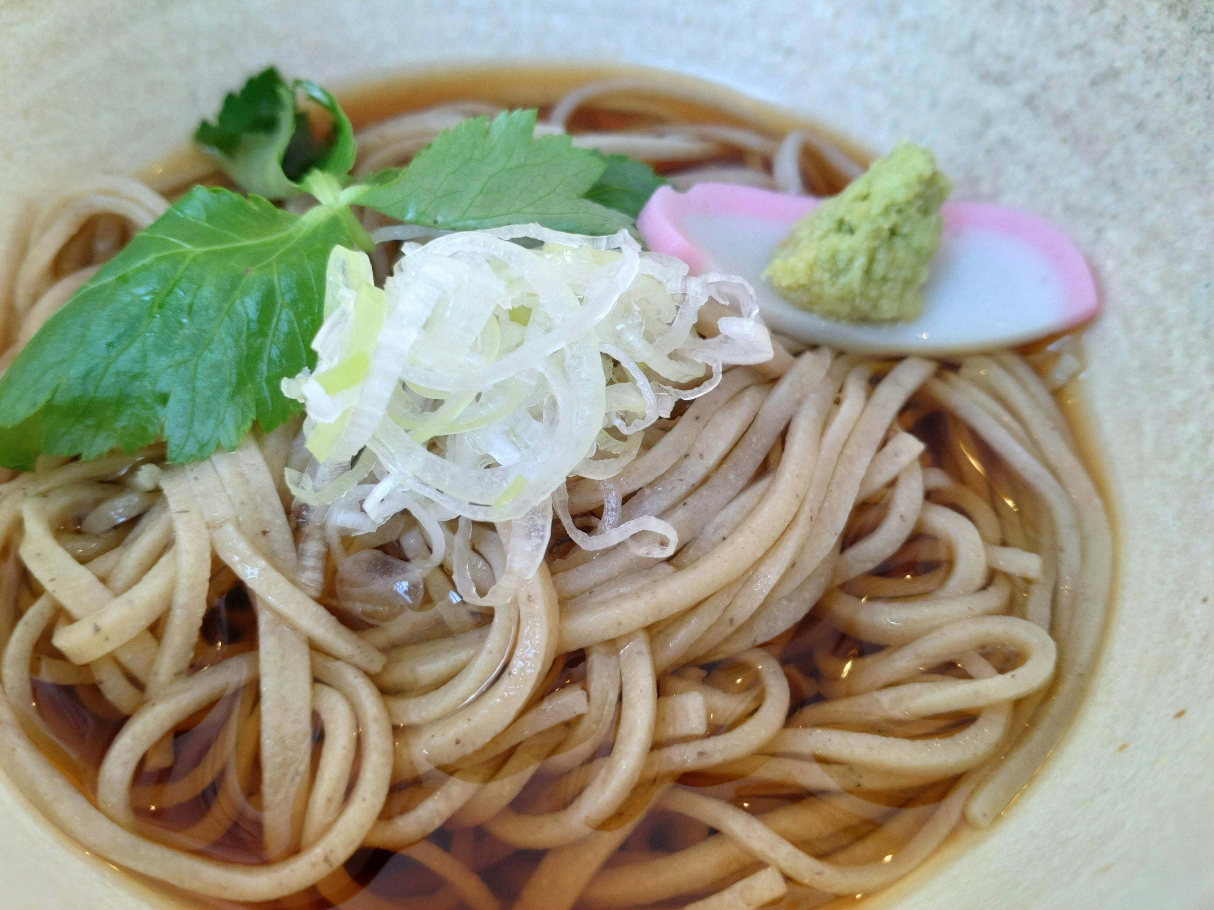 Vegan soba noodles with garnishes 