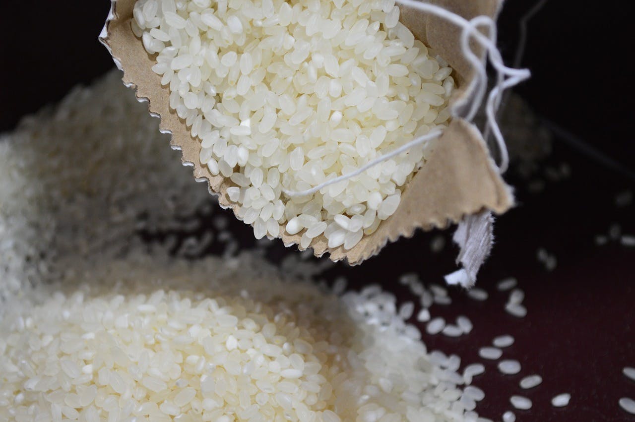 short grain rice