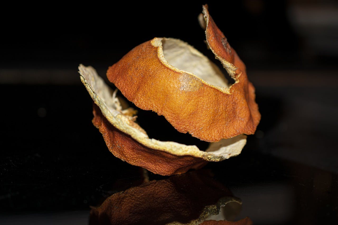 dried orange peel