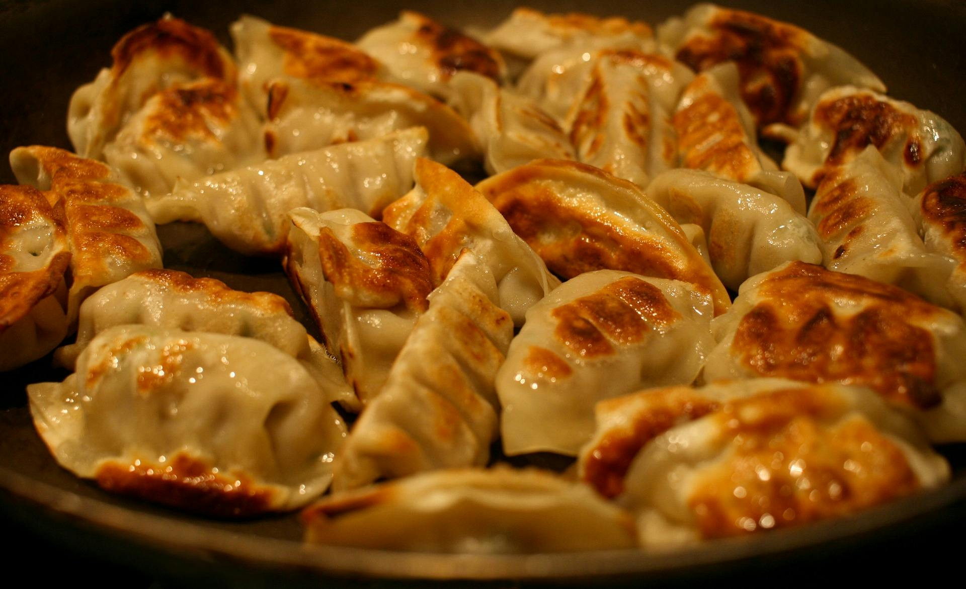 Japanese gyoza dumplings