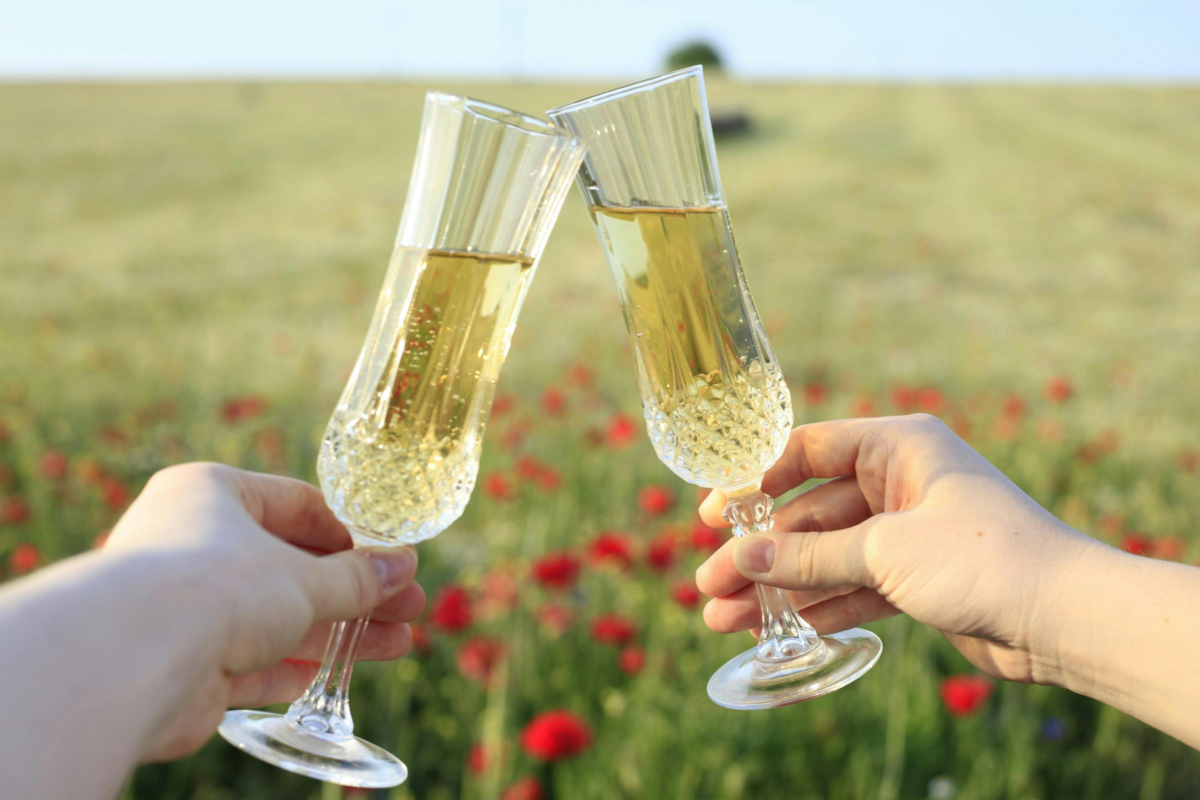 sparkling sake in glasses