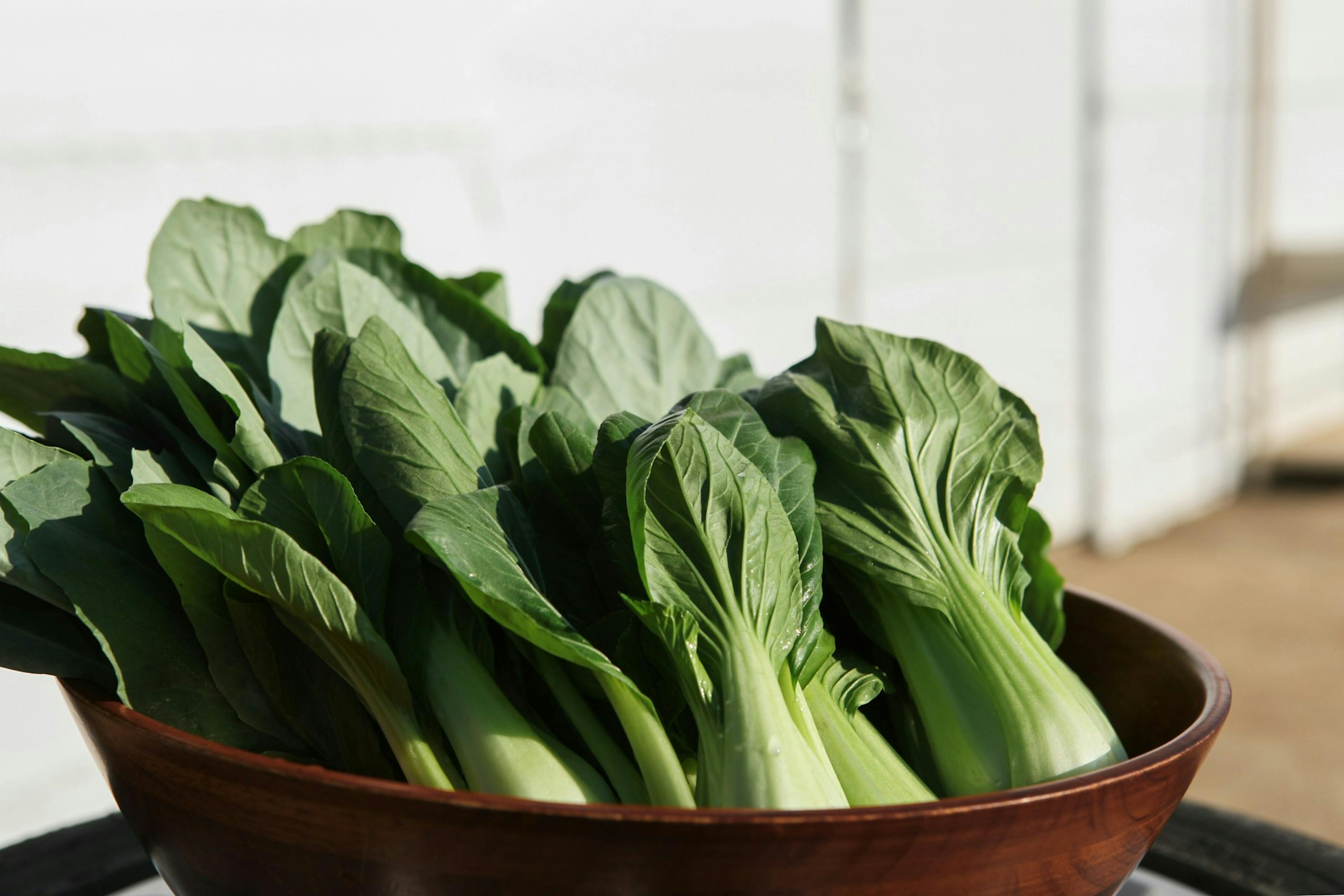 Chinese bok choy