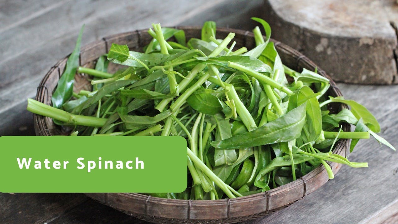 Water Spinach