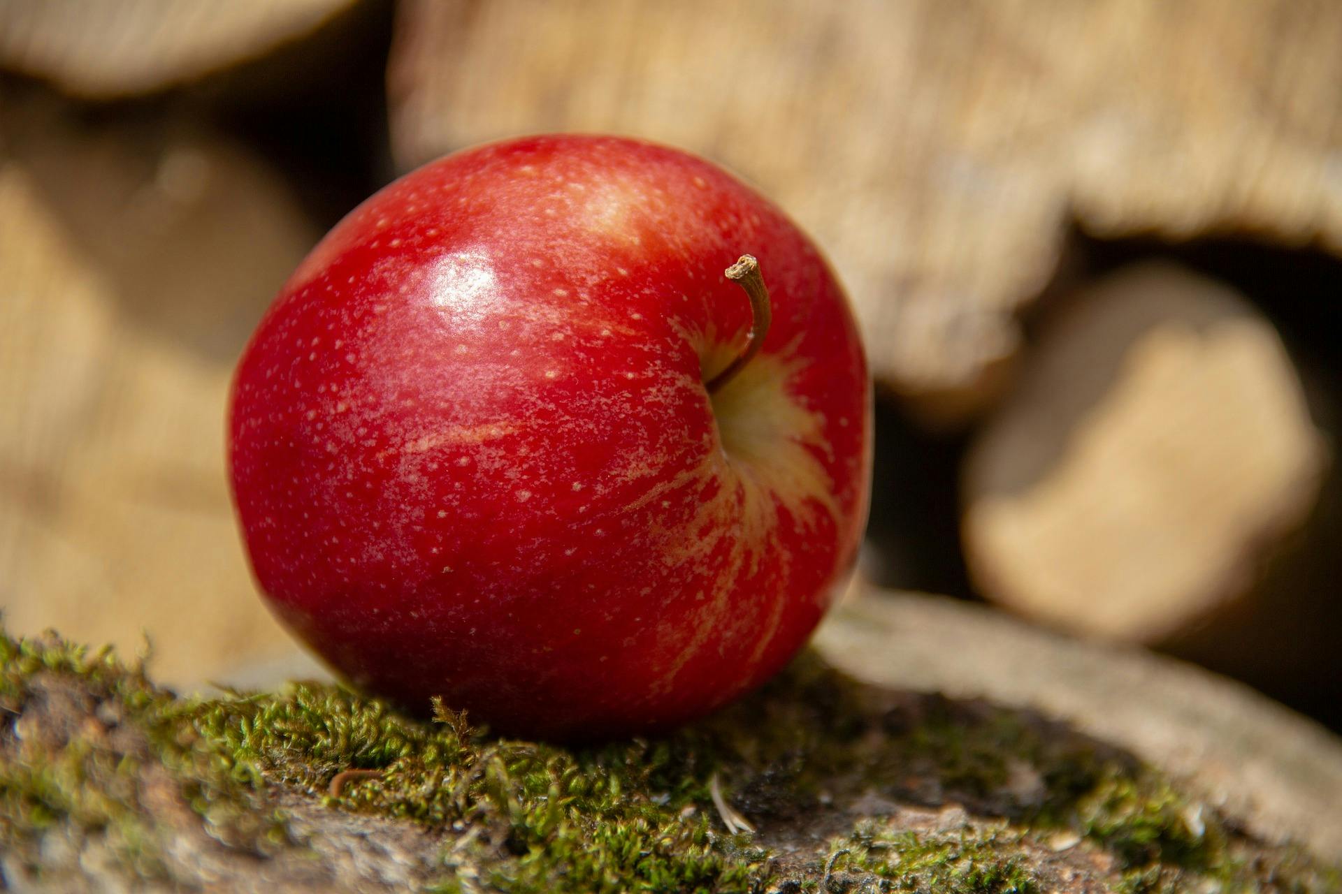 a red apple