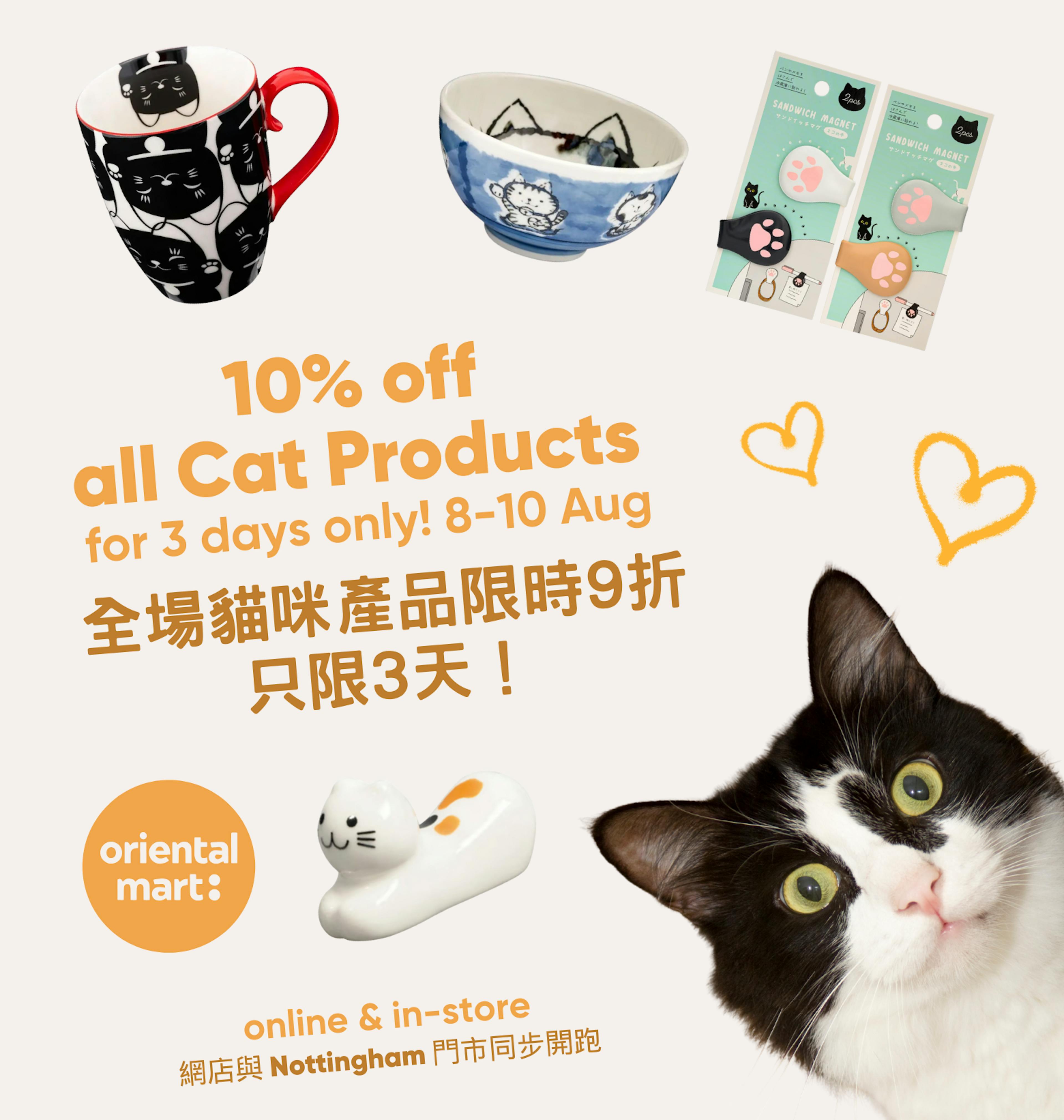 Cat Day Flash Sale
