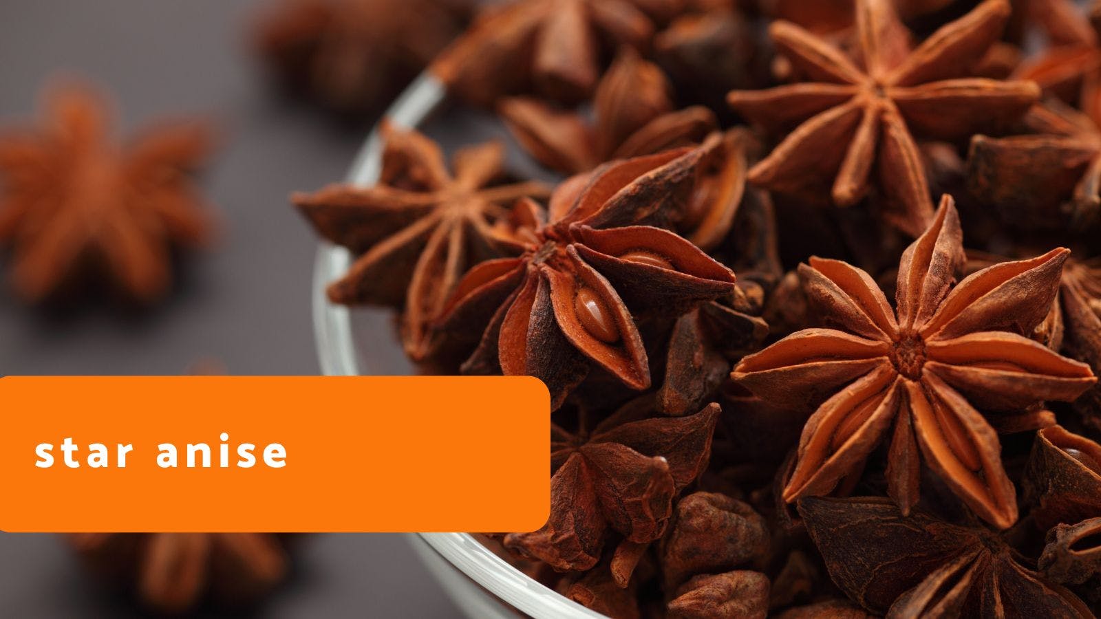 Star Anise