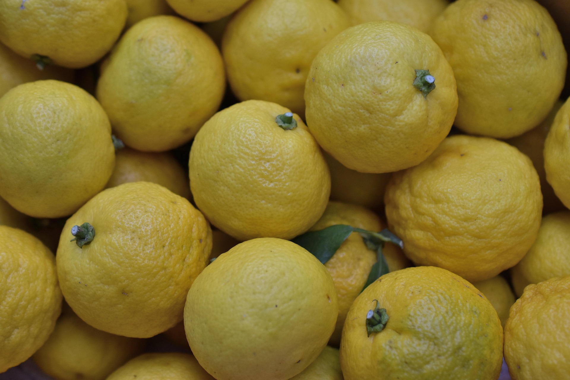 What is Yuzu? A Guide to the Japanese Citrus | Oriental Mart