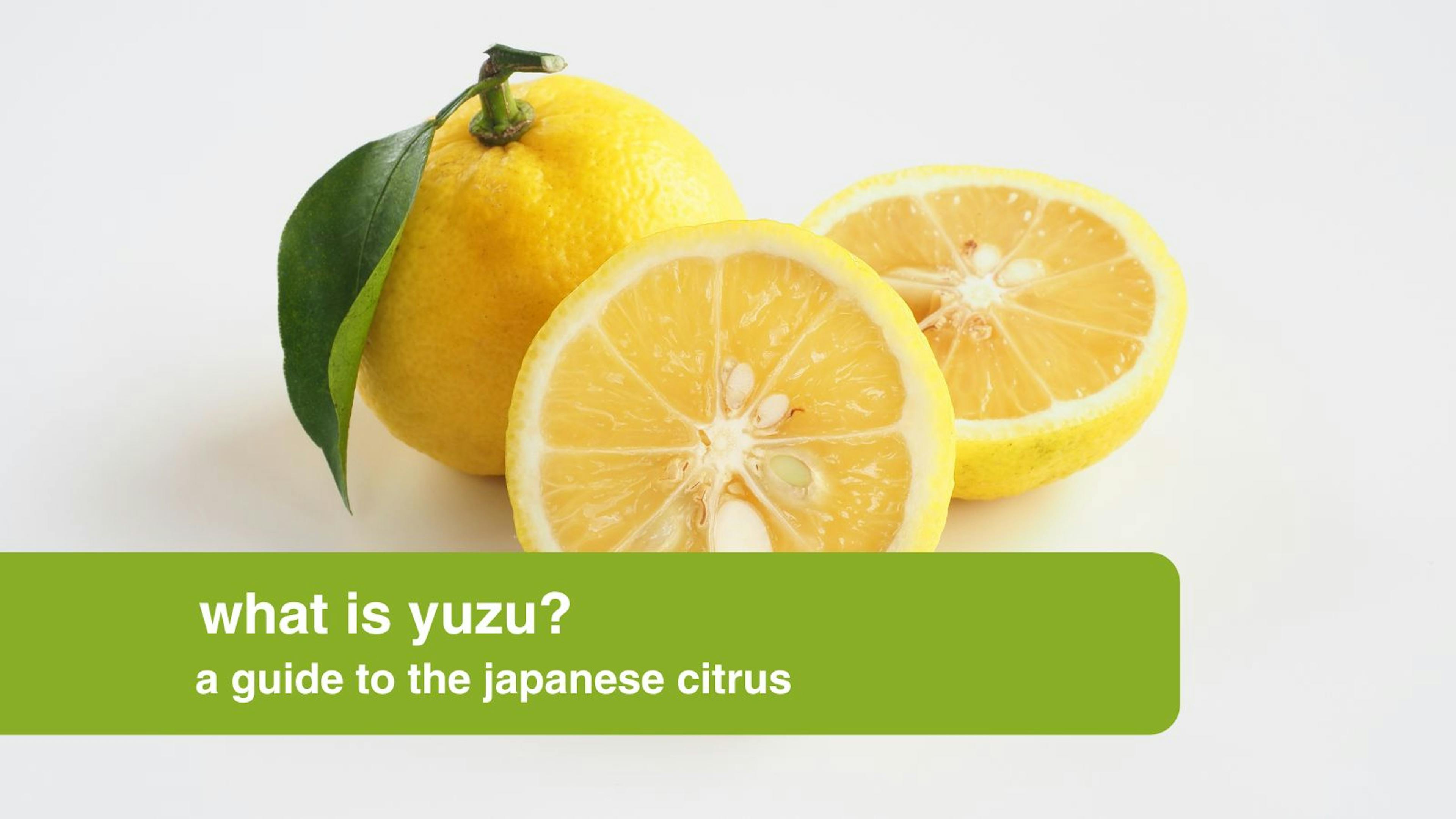 What is Yuzu? A Guide to the Japanese Citrus by Oriental Mart