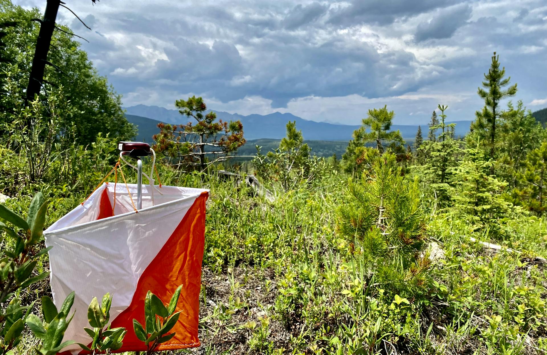 orienteering control in mountainous landscape