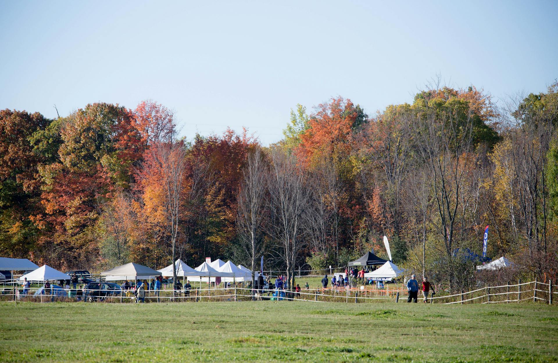 Canopies setup for an orienteering event in a large field with red, yellow and green leaved trees in the background.