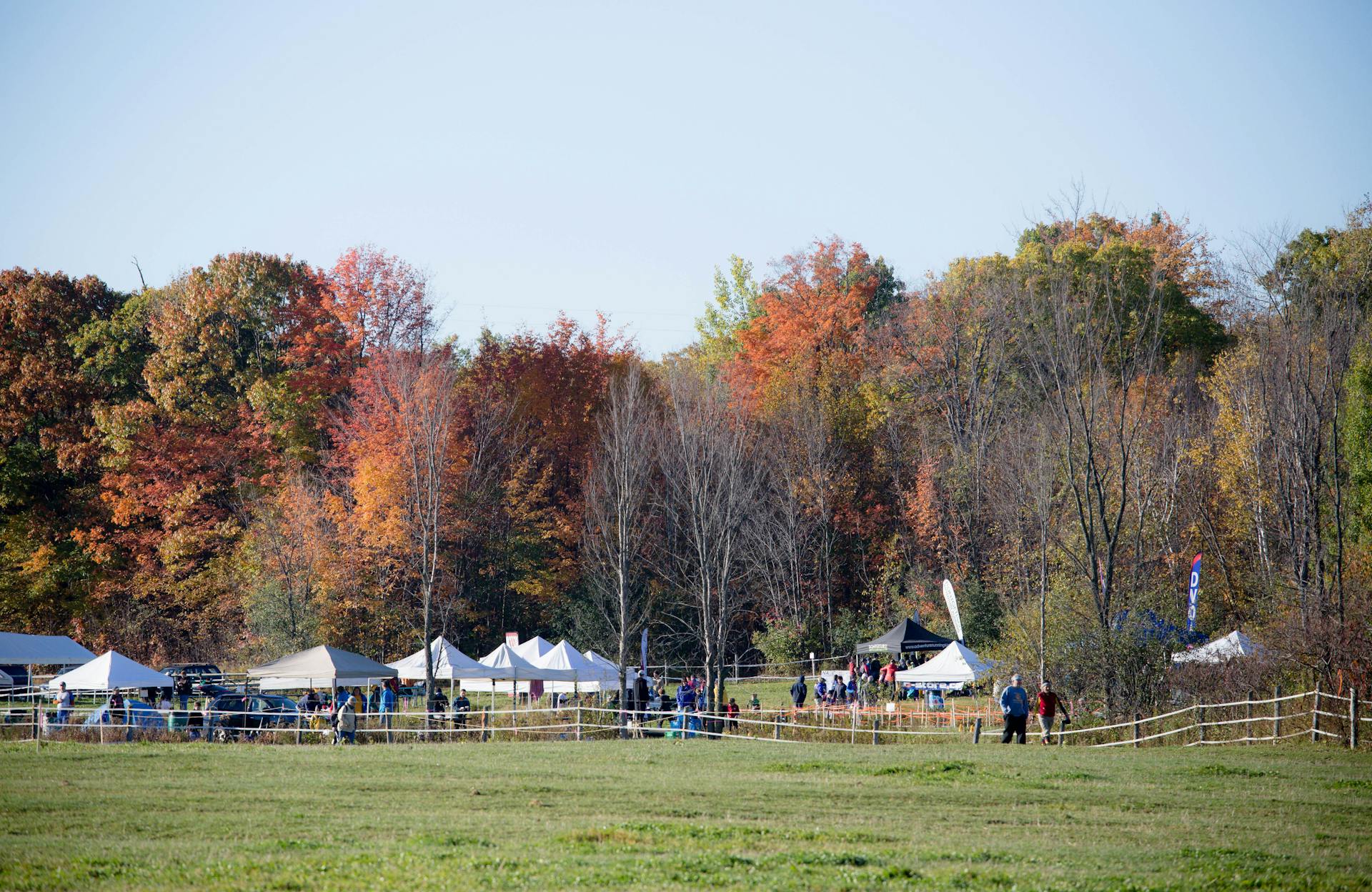 Canopies setup for an orienteering event in a large field with red, yellow and green leaved trees in the background. 