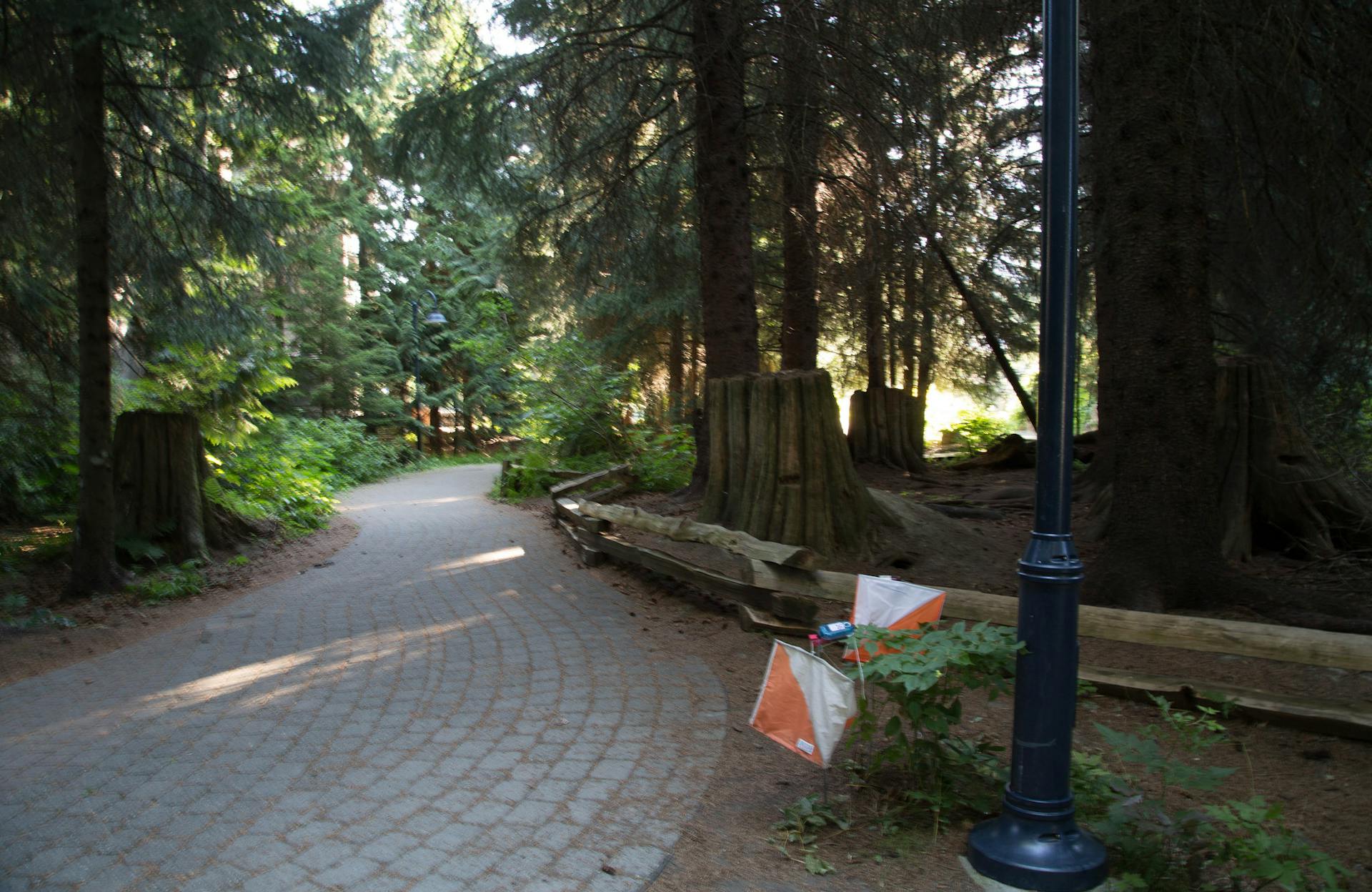 Orienteering control in urban setting.