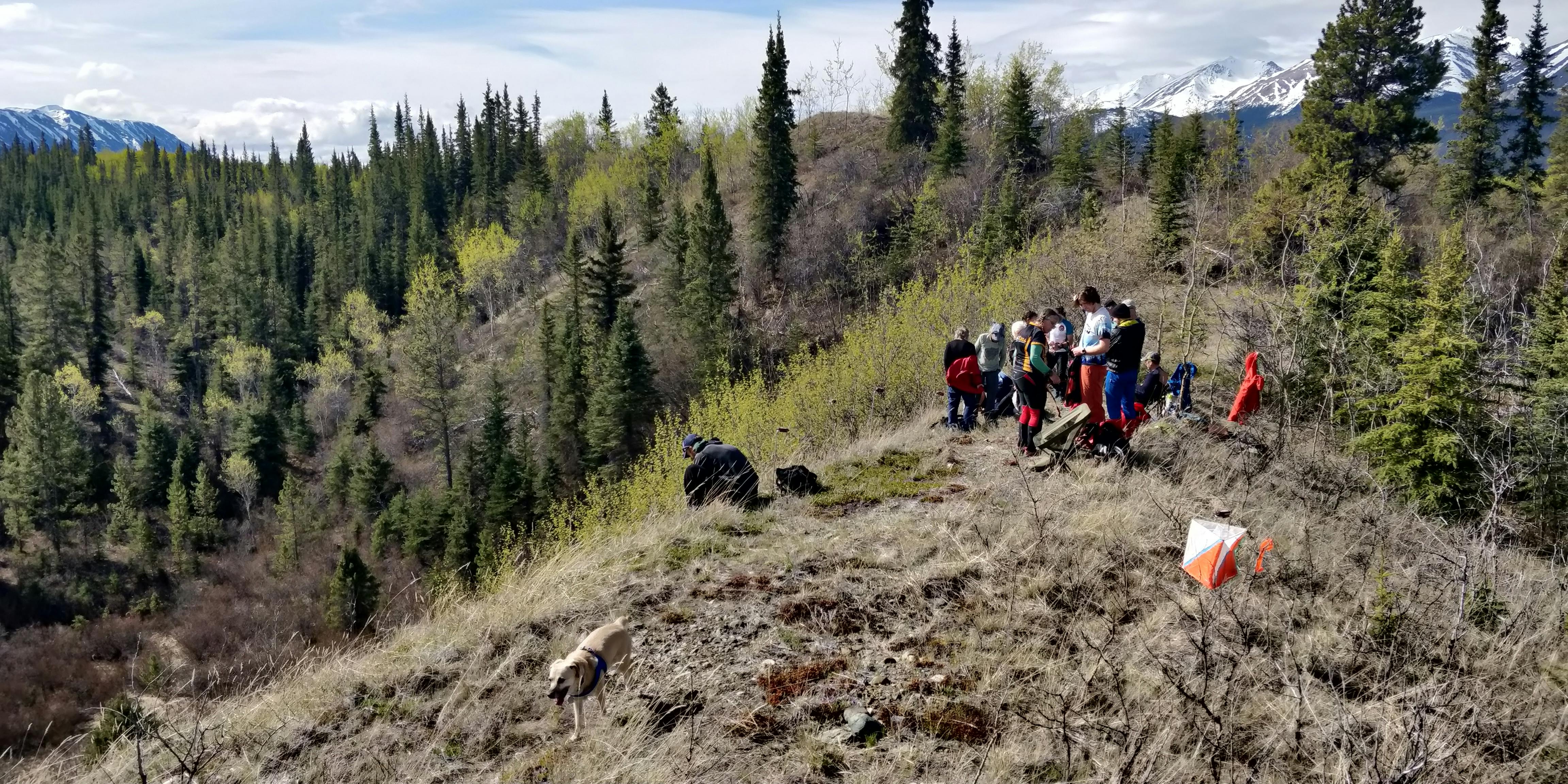 orienteers on a ridge near an orienteering control