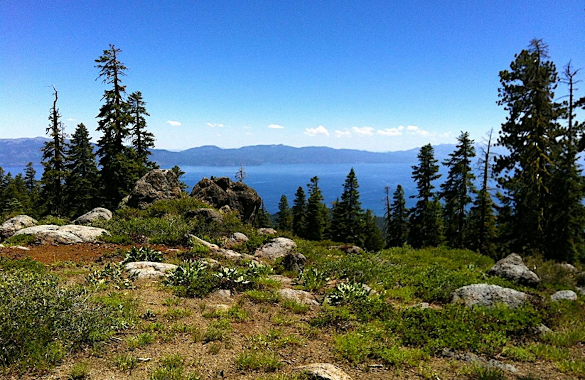 picture of california orienteering terrain