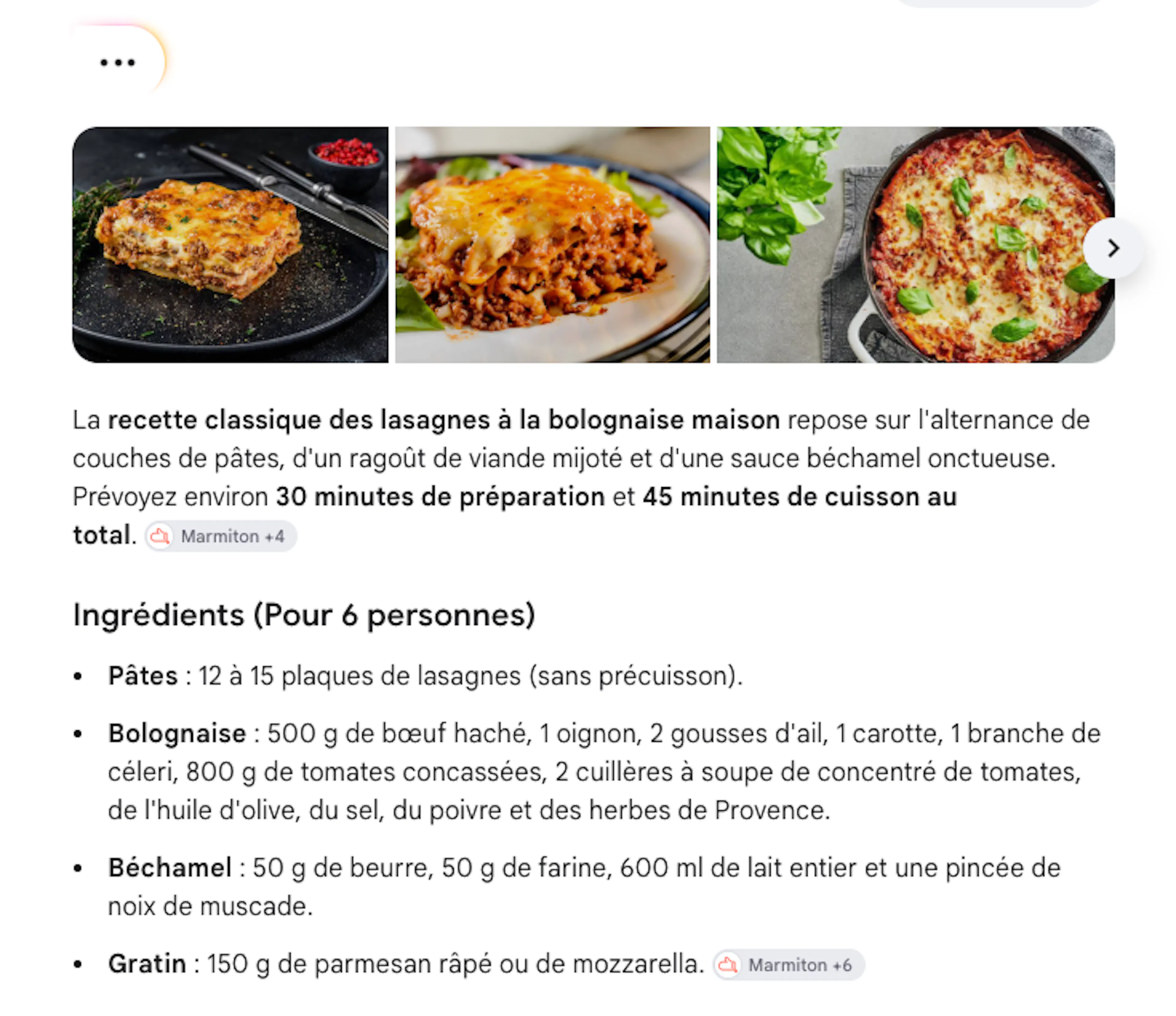 AI Overviews Lasagne