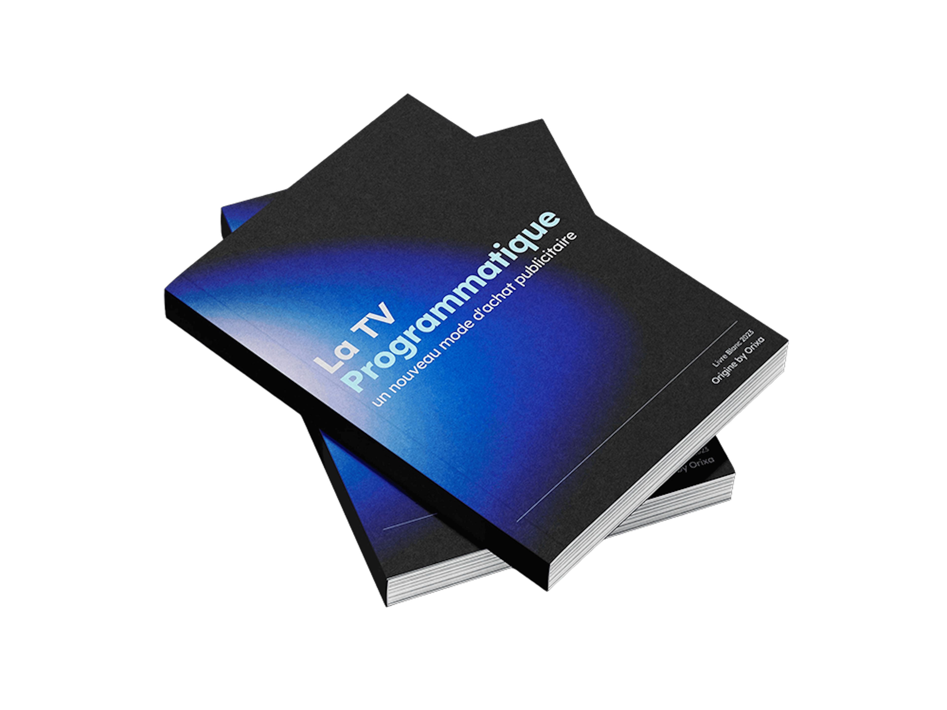 Livre blanc programmatique