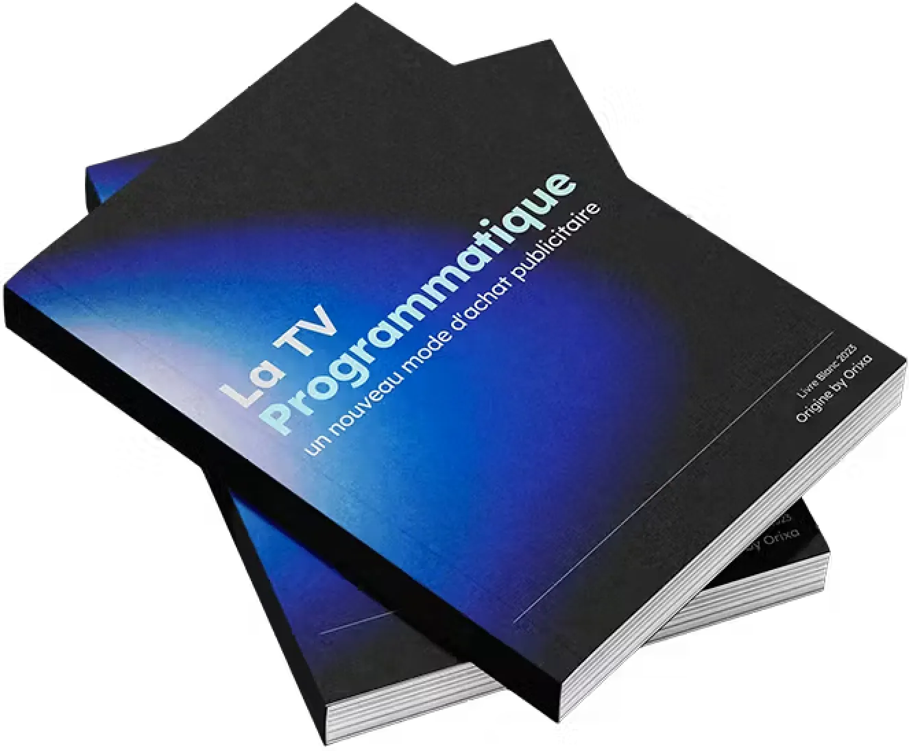 Livre blanc programmatique