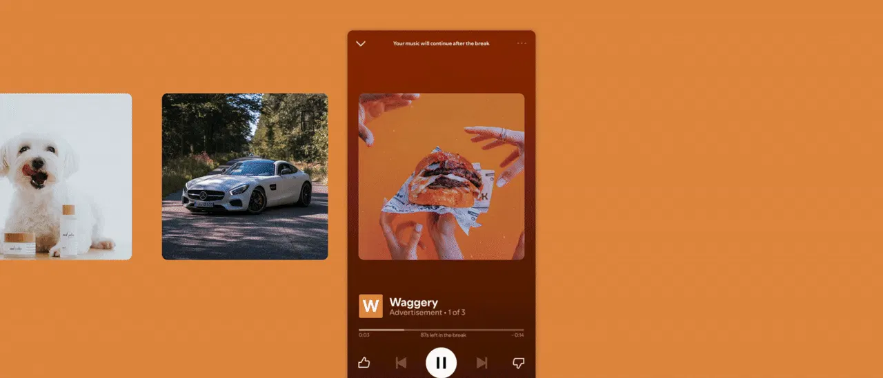 Spotify Ads animation