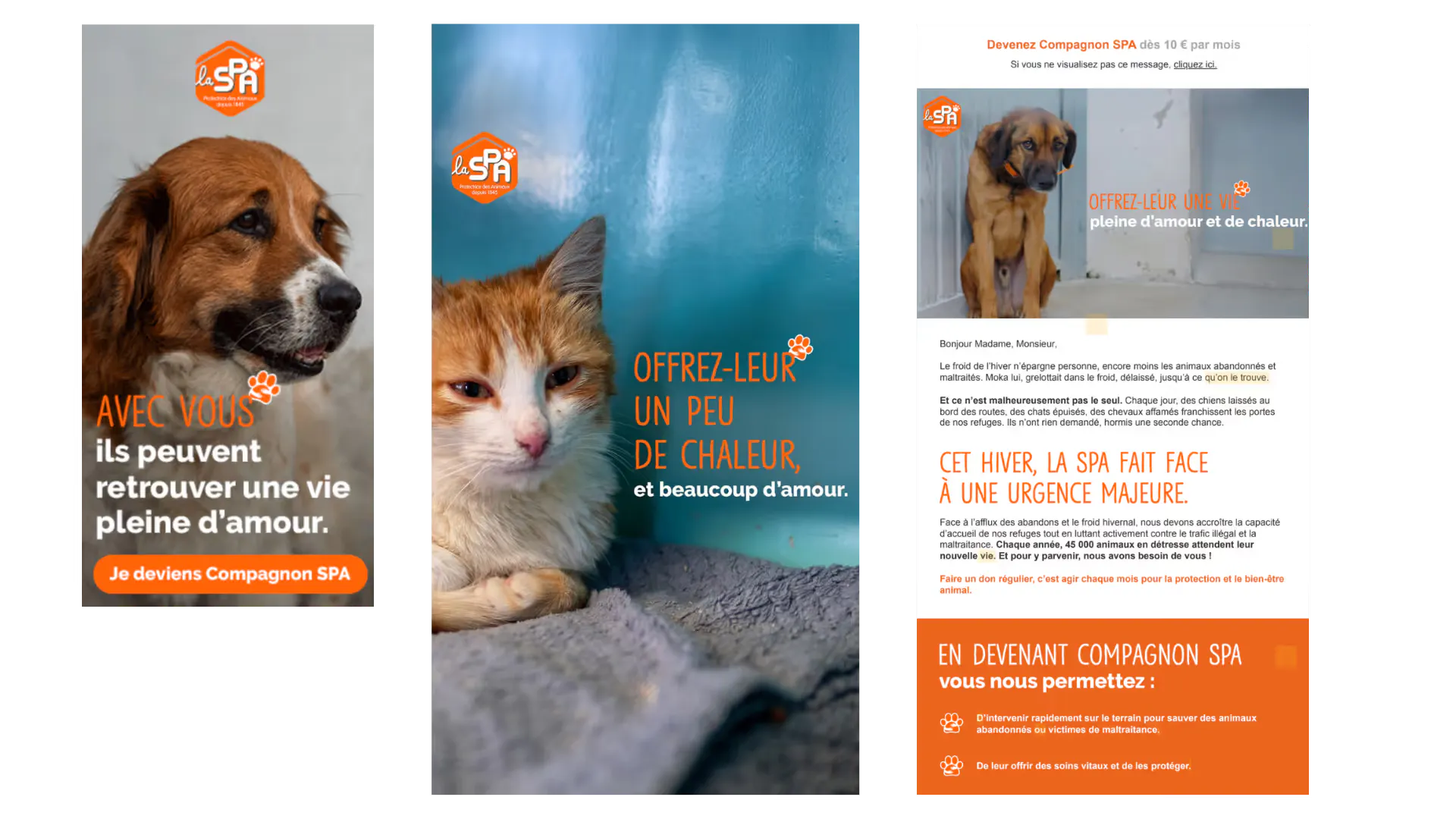 Différentes déclinaison de la campagne SPA