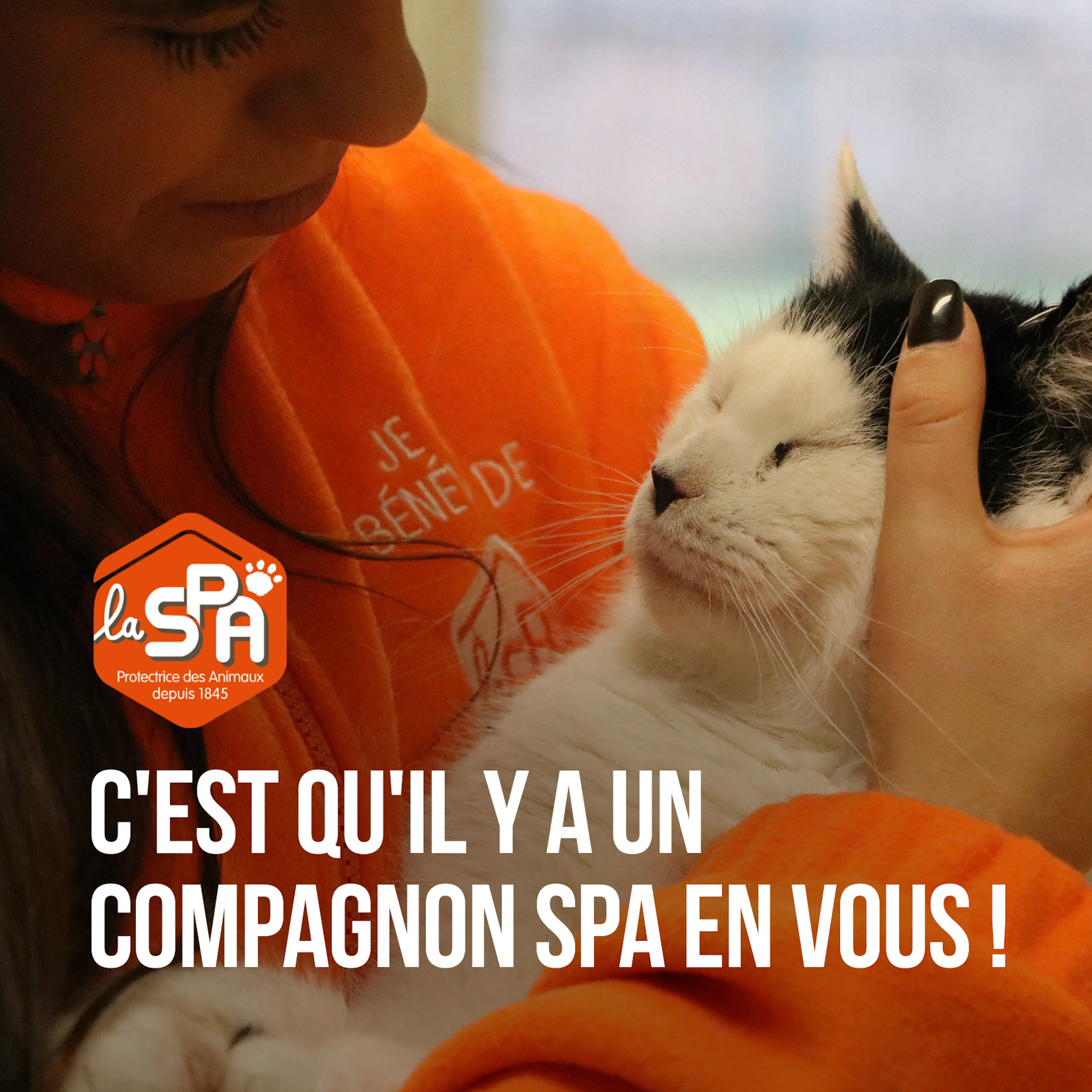 Compagnon SPA qui tient un chat