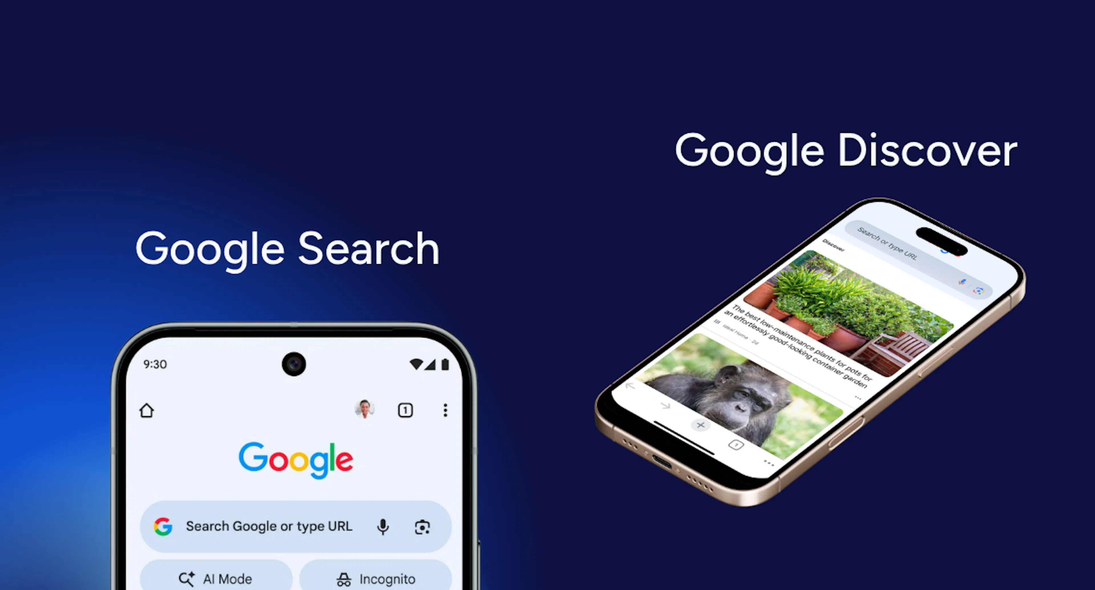 Google Search et Google Discover