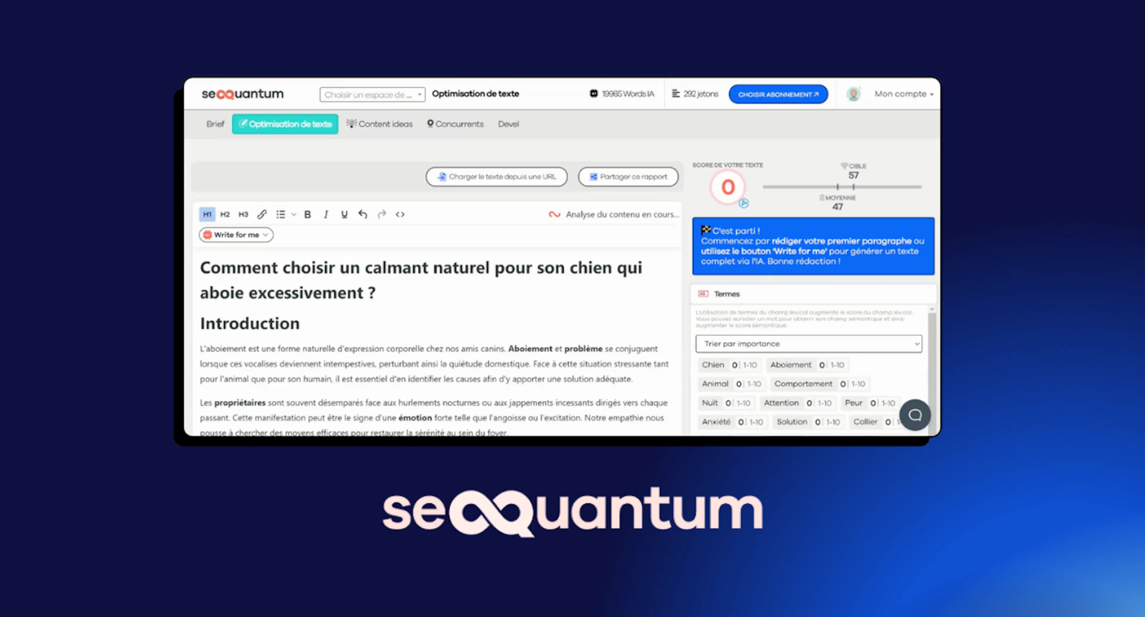 Plateforme SEO Quantum
