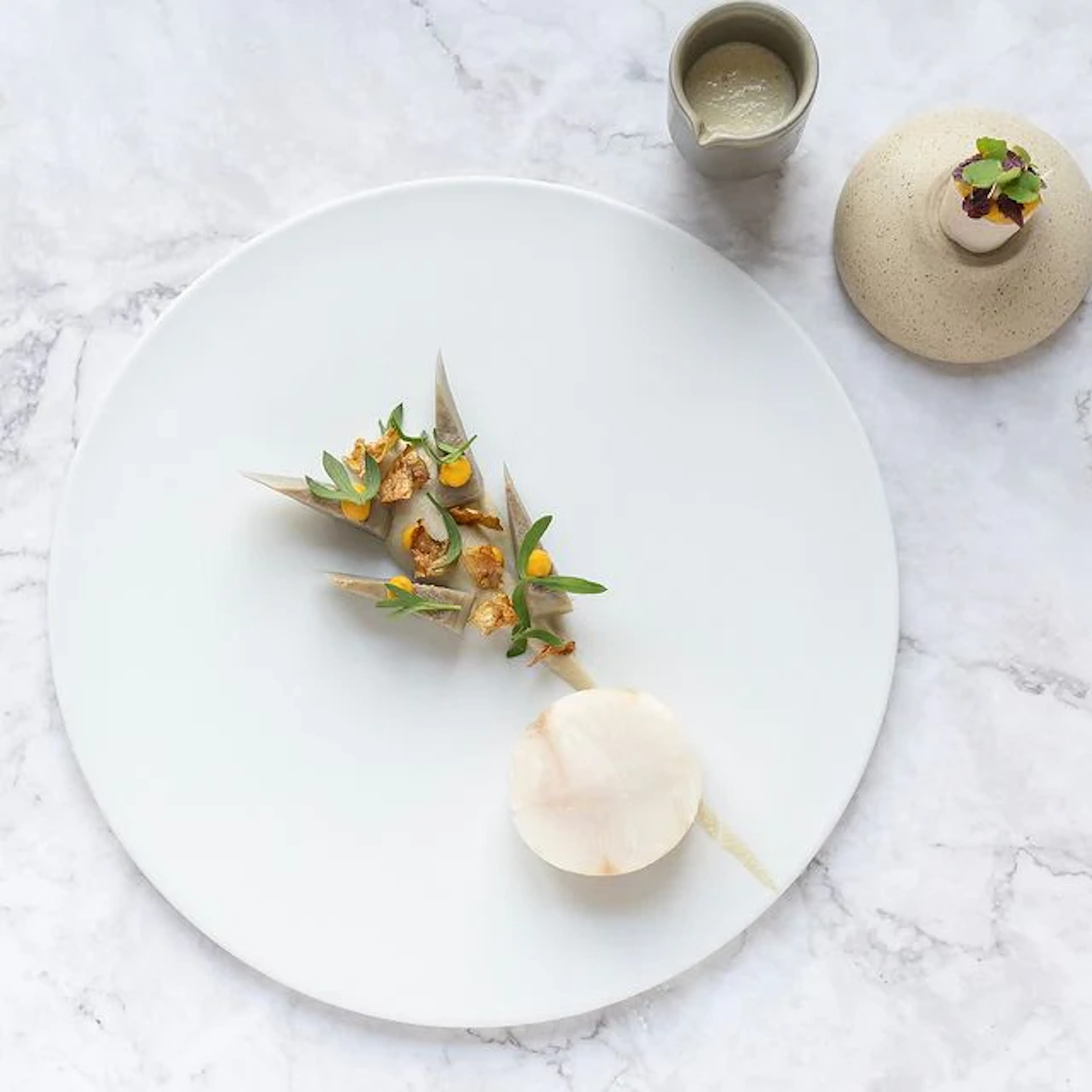 Plat gastronomique