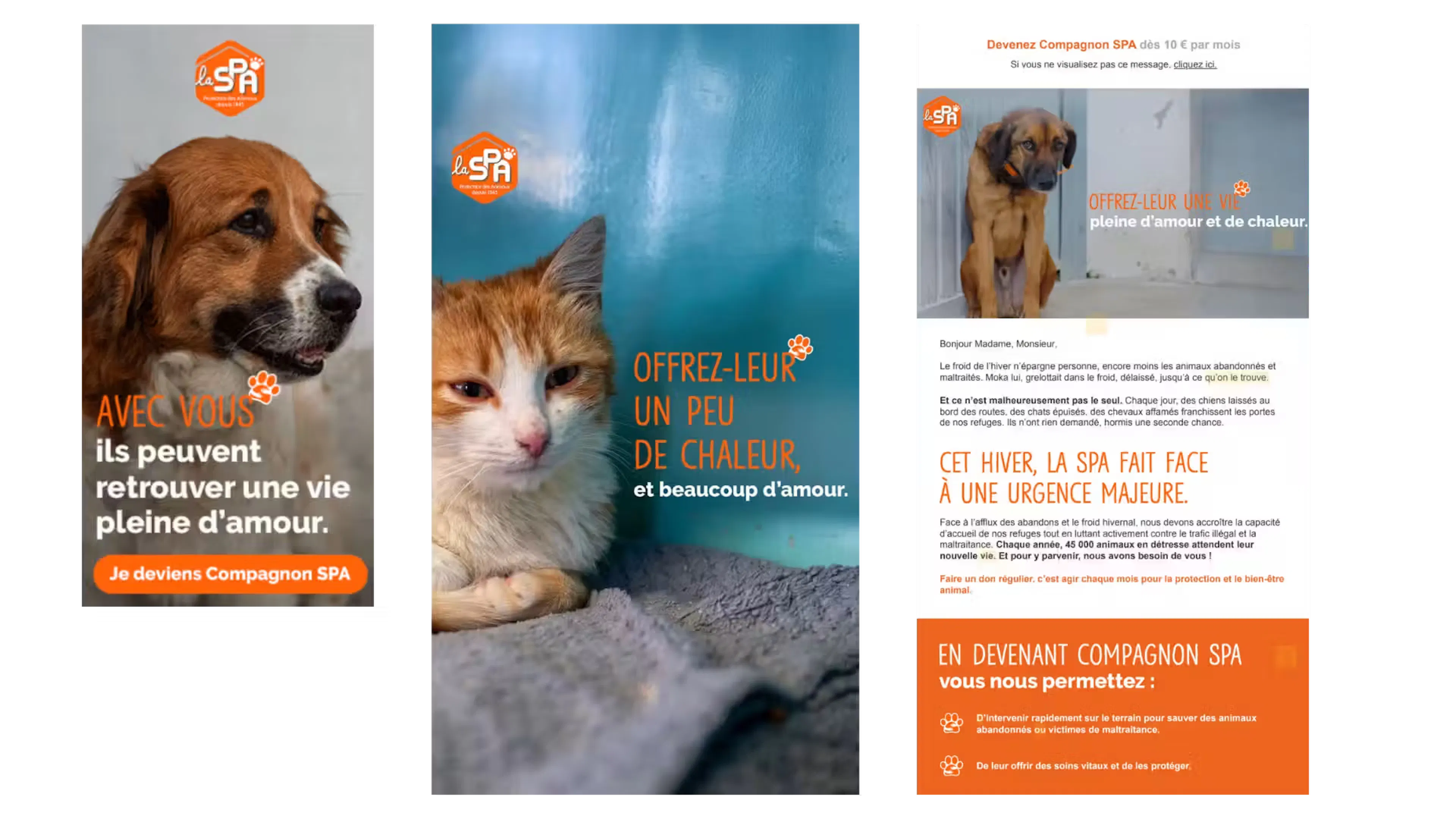 Différentes déclinaison de la campagne SPA