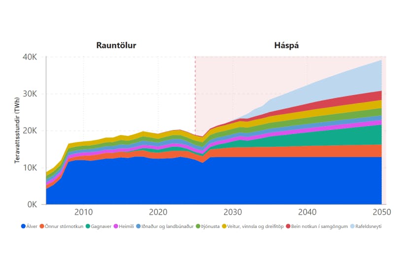 Raforkuvinnsla eftir notkunarflokkum – mynd