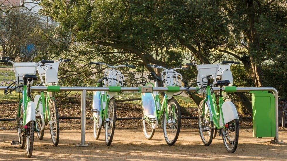 Vélo en location près d'un espace vert
