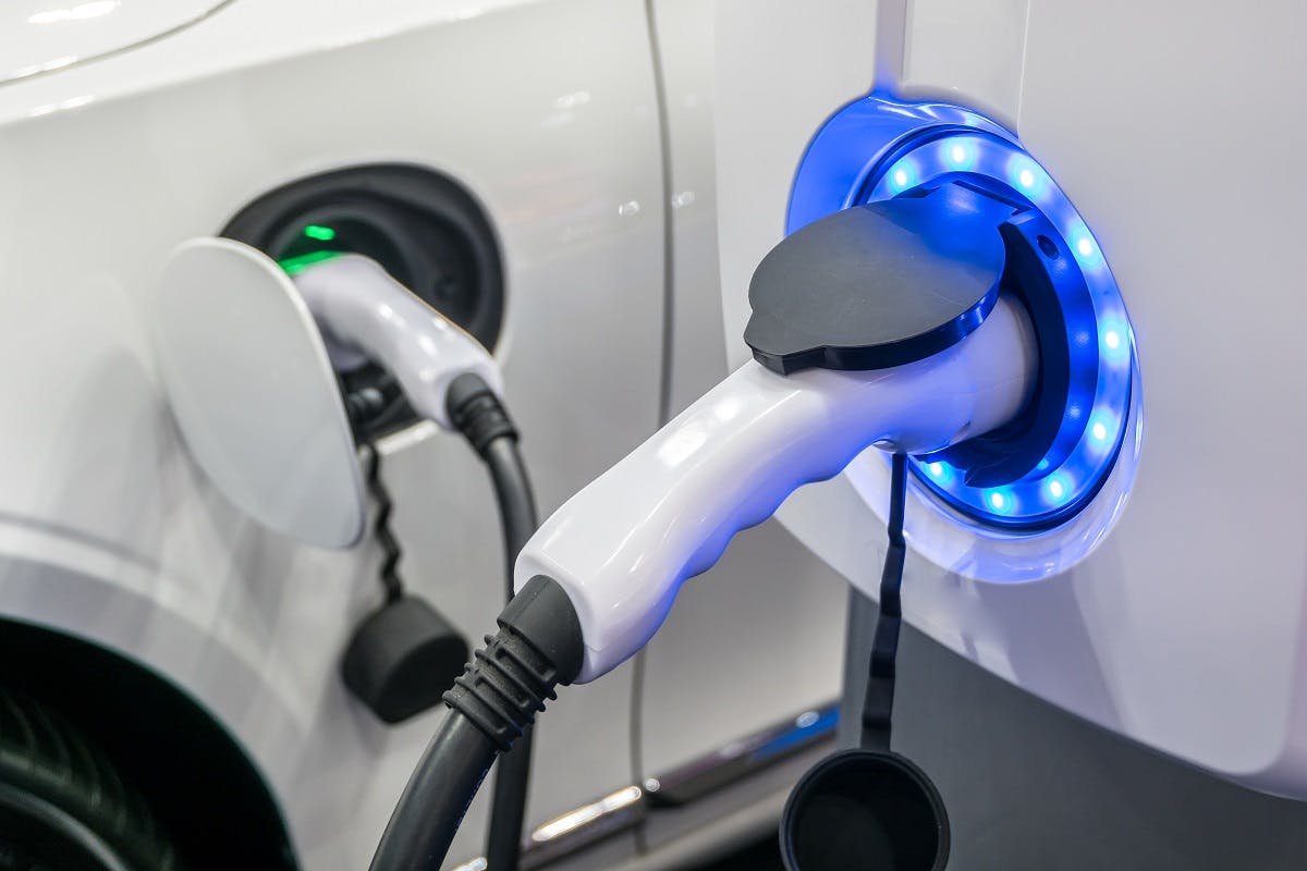 Voiture branche sur une borne de recharge