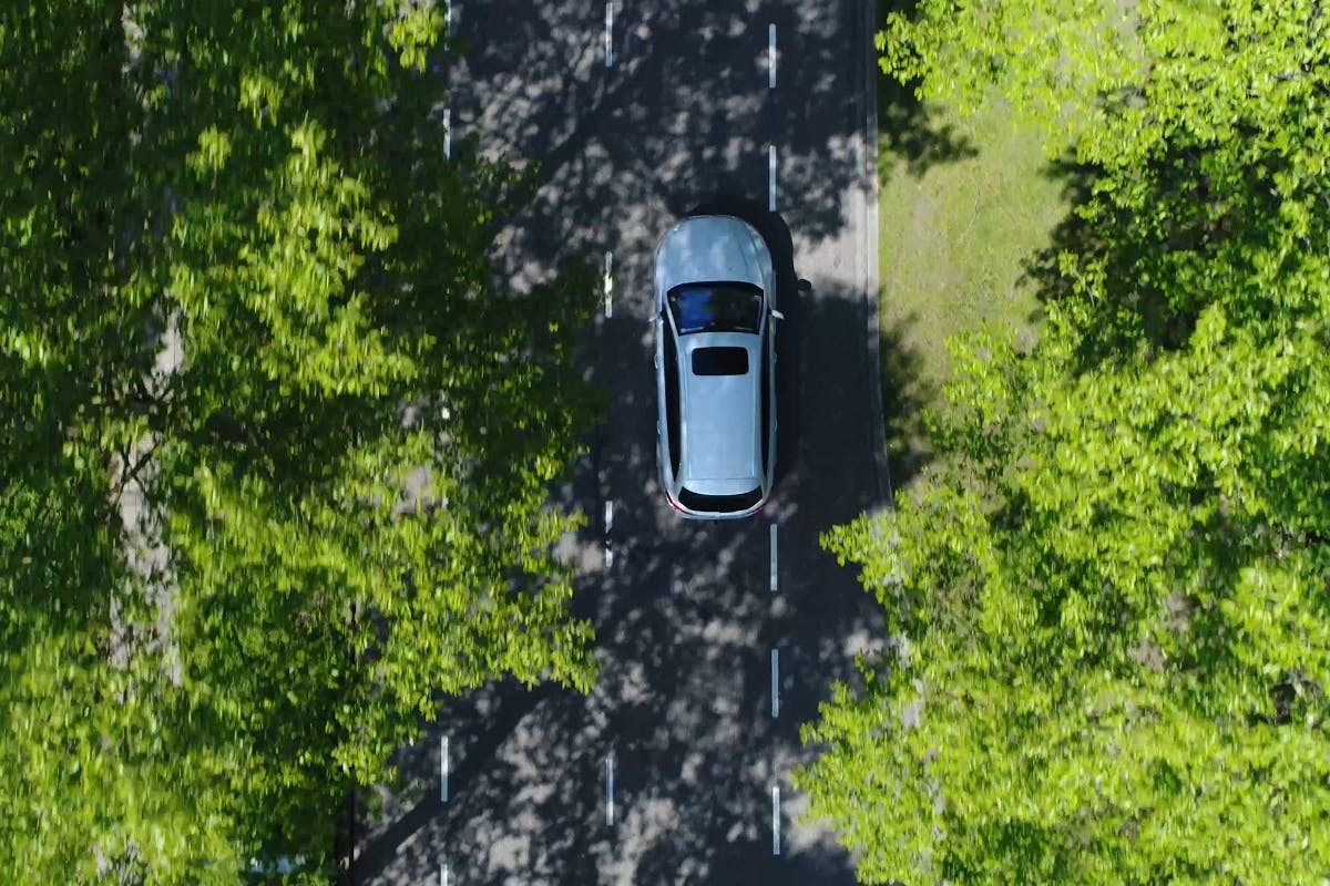 vue aerienne voiture roulant en foret