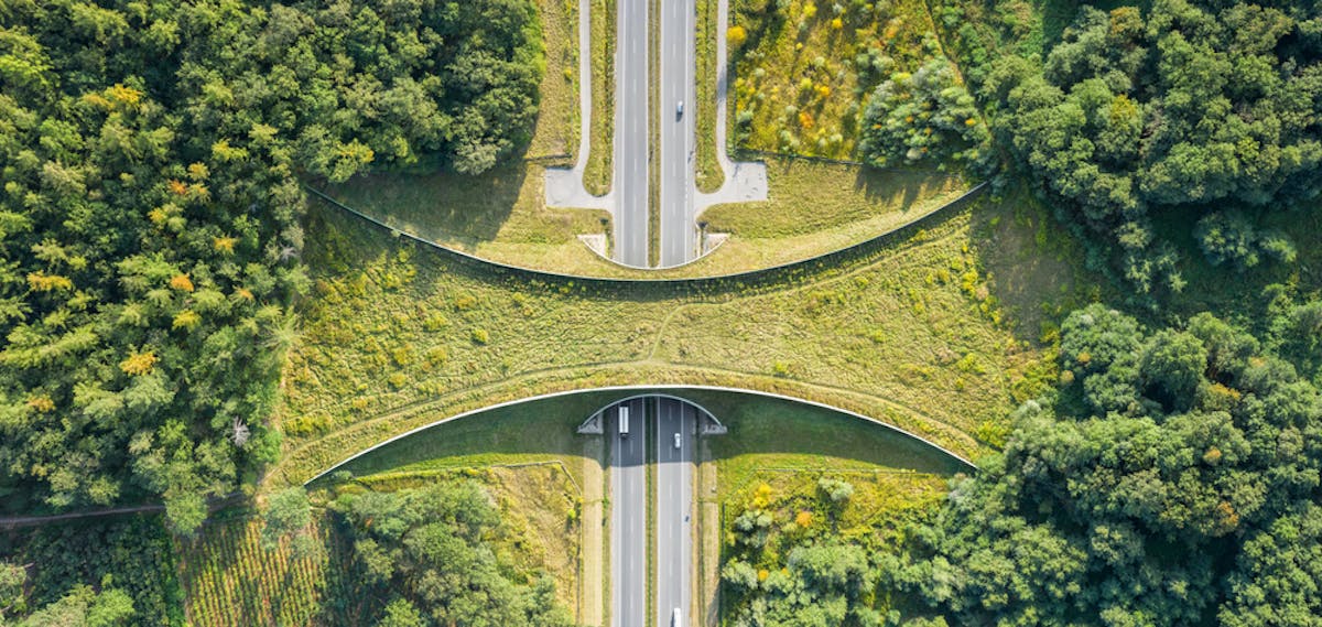 Passage piéton pour animaux au dessus d'une autoroute