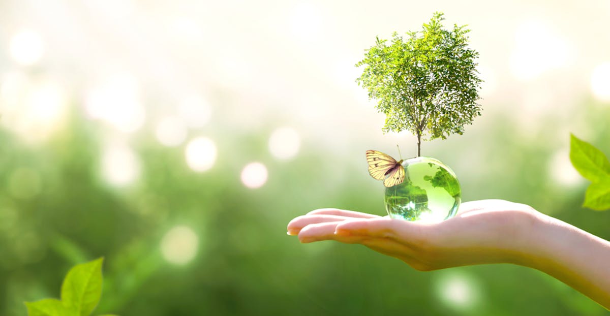 Main tenant la nature verte