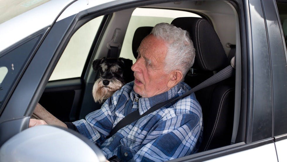 Automobiliste senior circulant avec un chien dans sa voiture