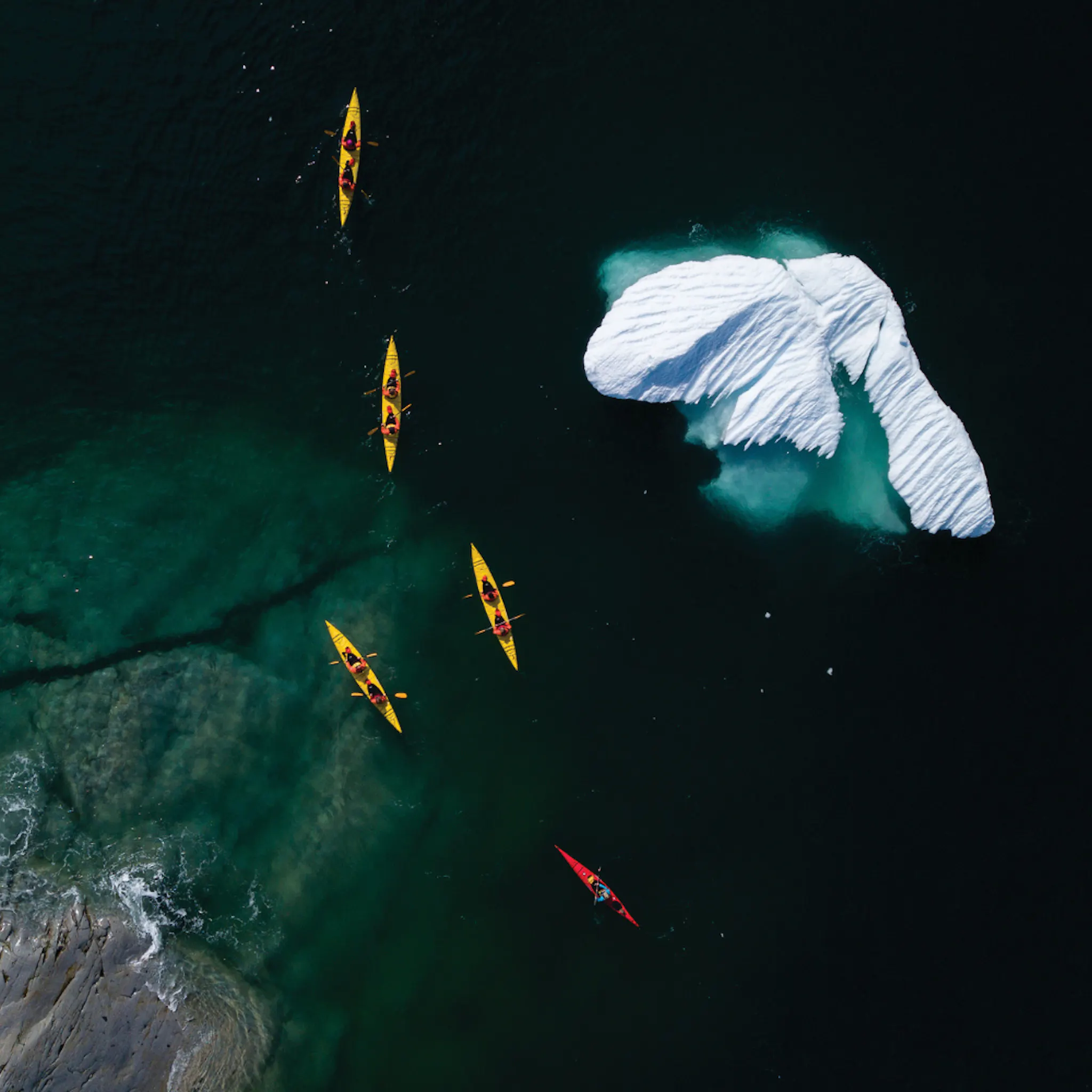 Antarctica Kayaking