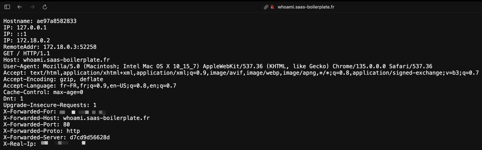 Service whoami exposé sur l'adresse whoami.saas-boilerplate.fr sans un certificat HTTPS valide