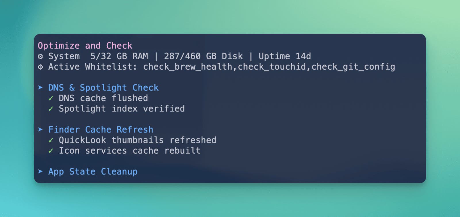 Rendu de la commande mo optimize