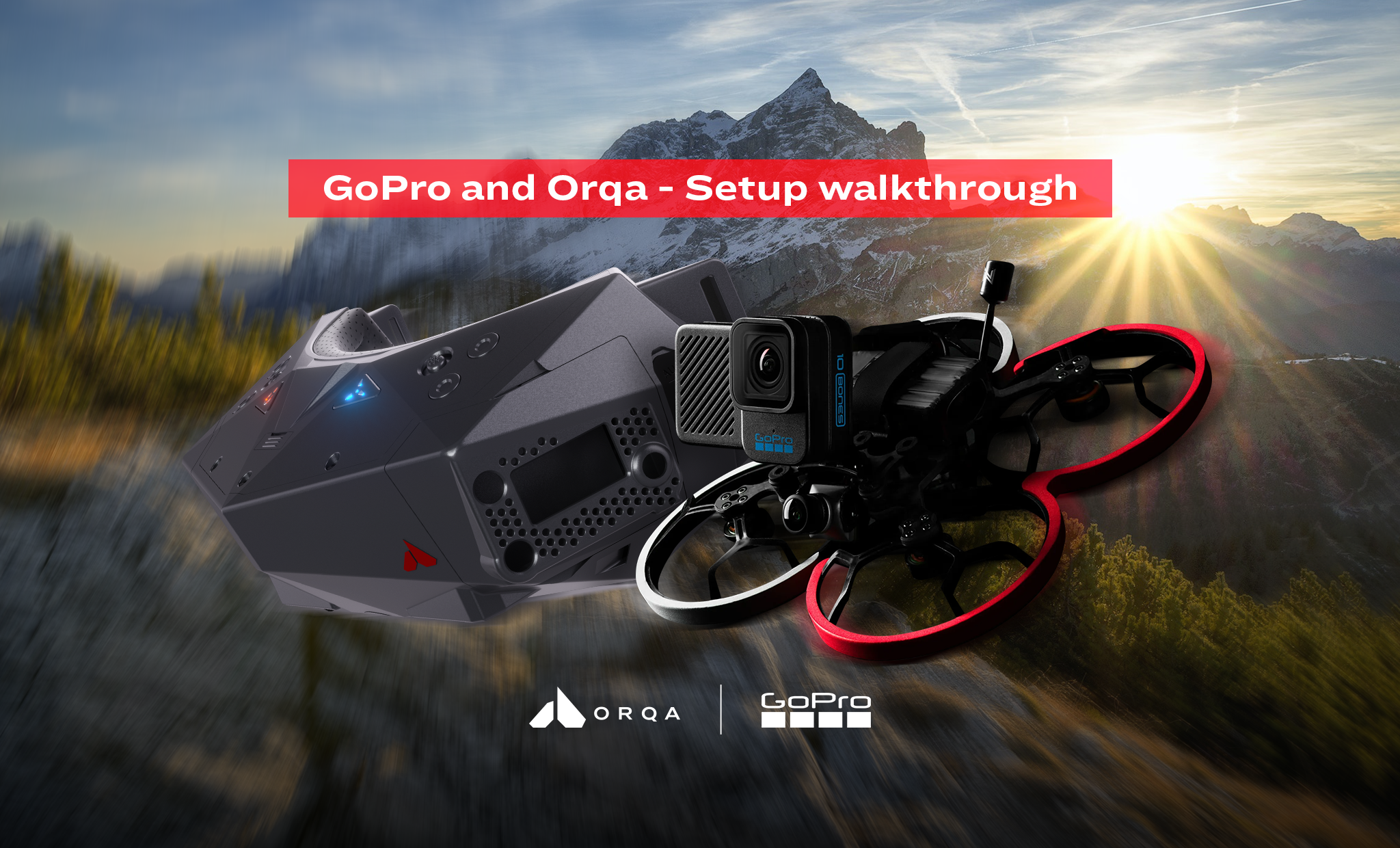 Ayolning orqa tomonidagi kamming fotosurati